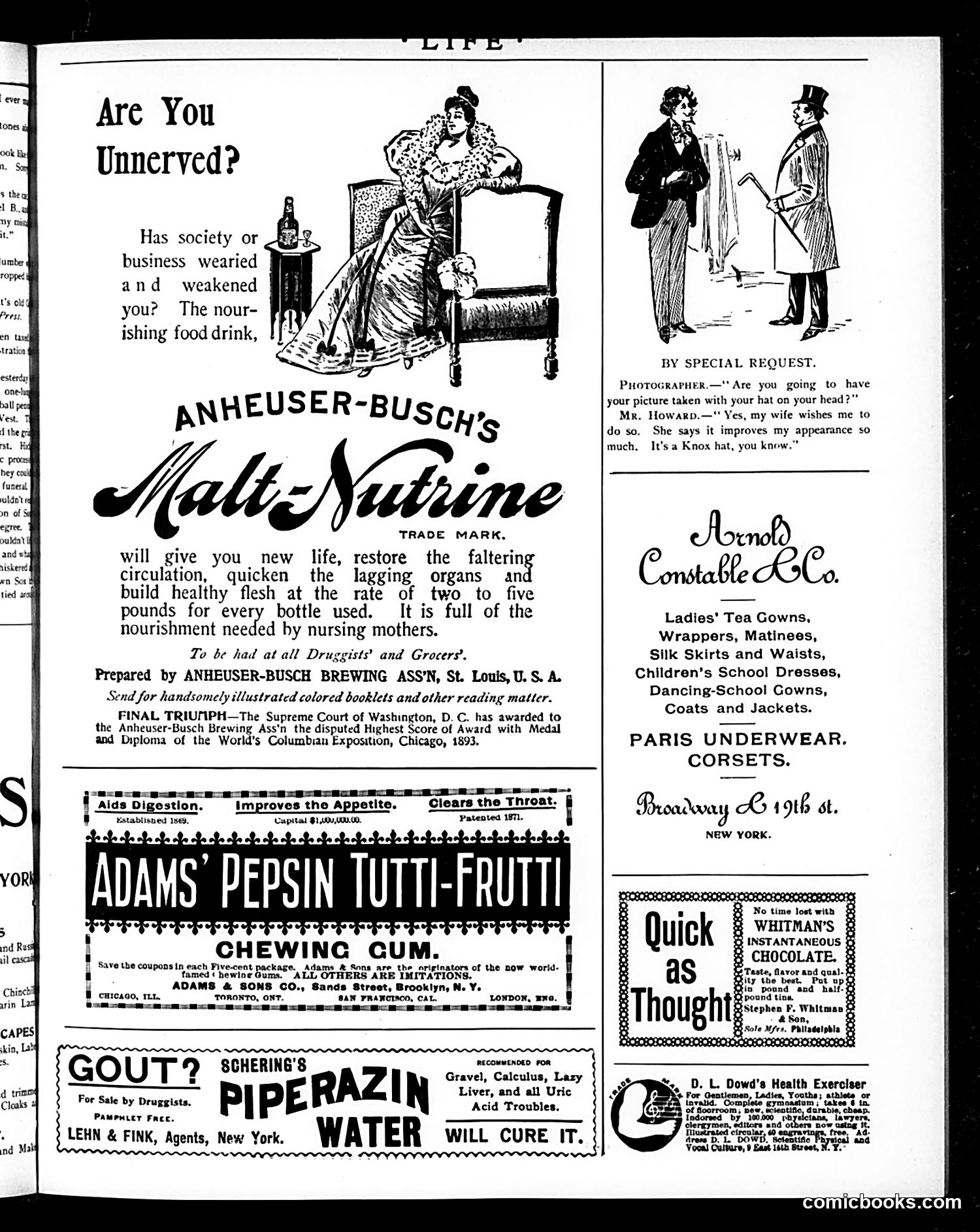 Life — November 28, 1895 — page 25 of 26