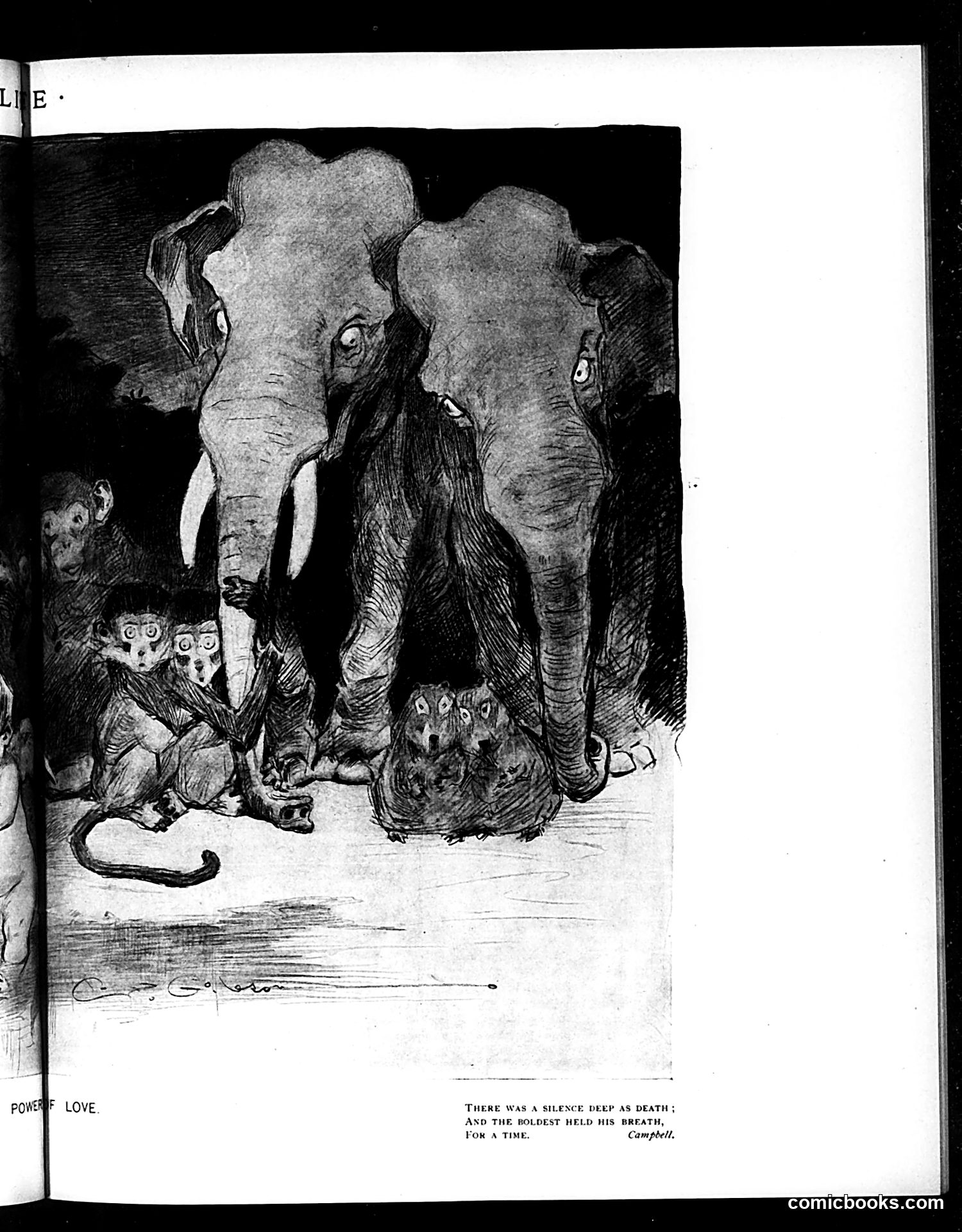 Life — December 5, 1895 — page 11 of 18