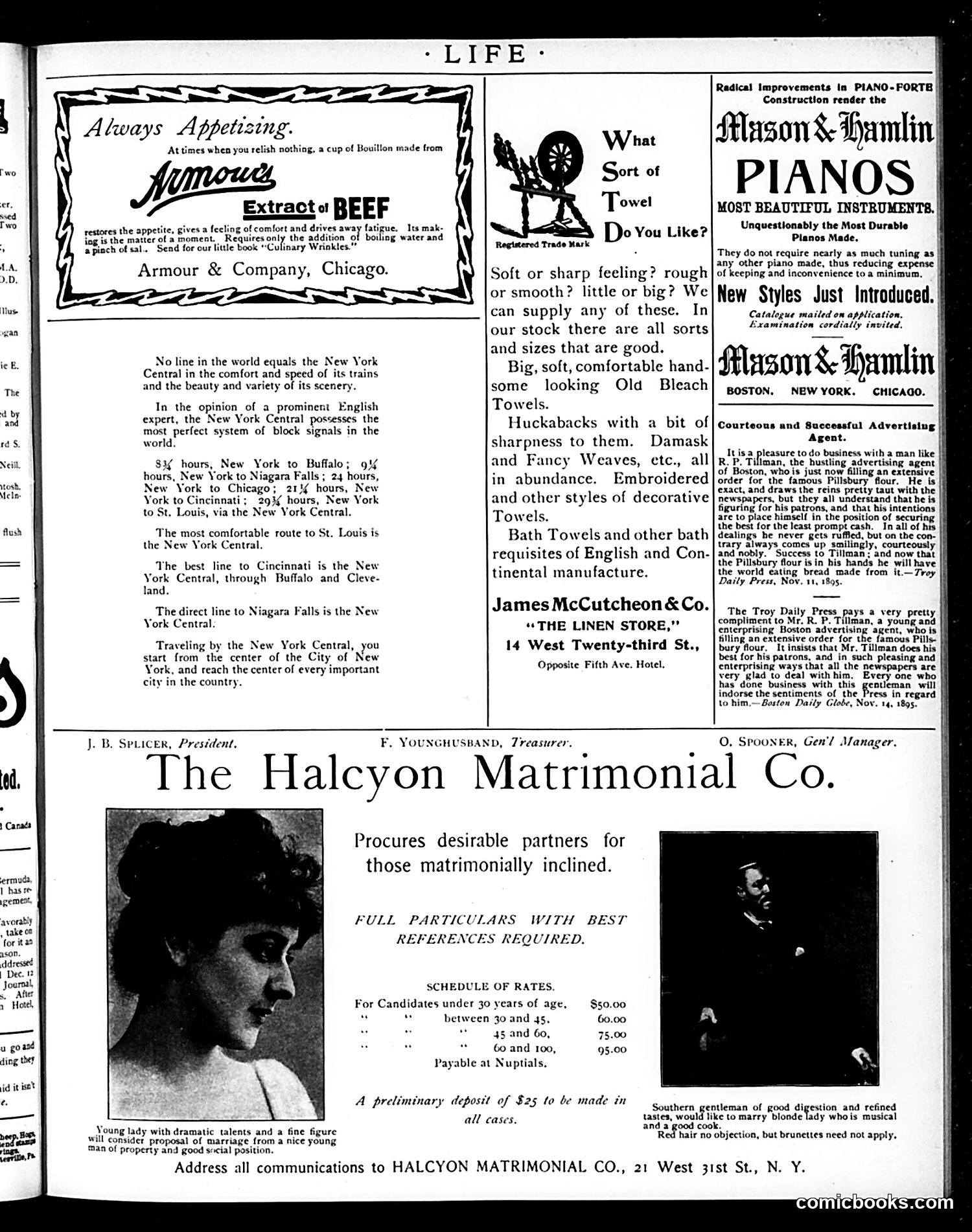 Life — December 5, 1895 — page 15 of 18