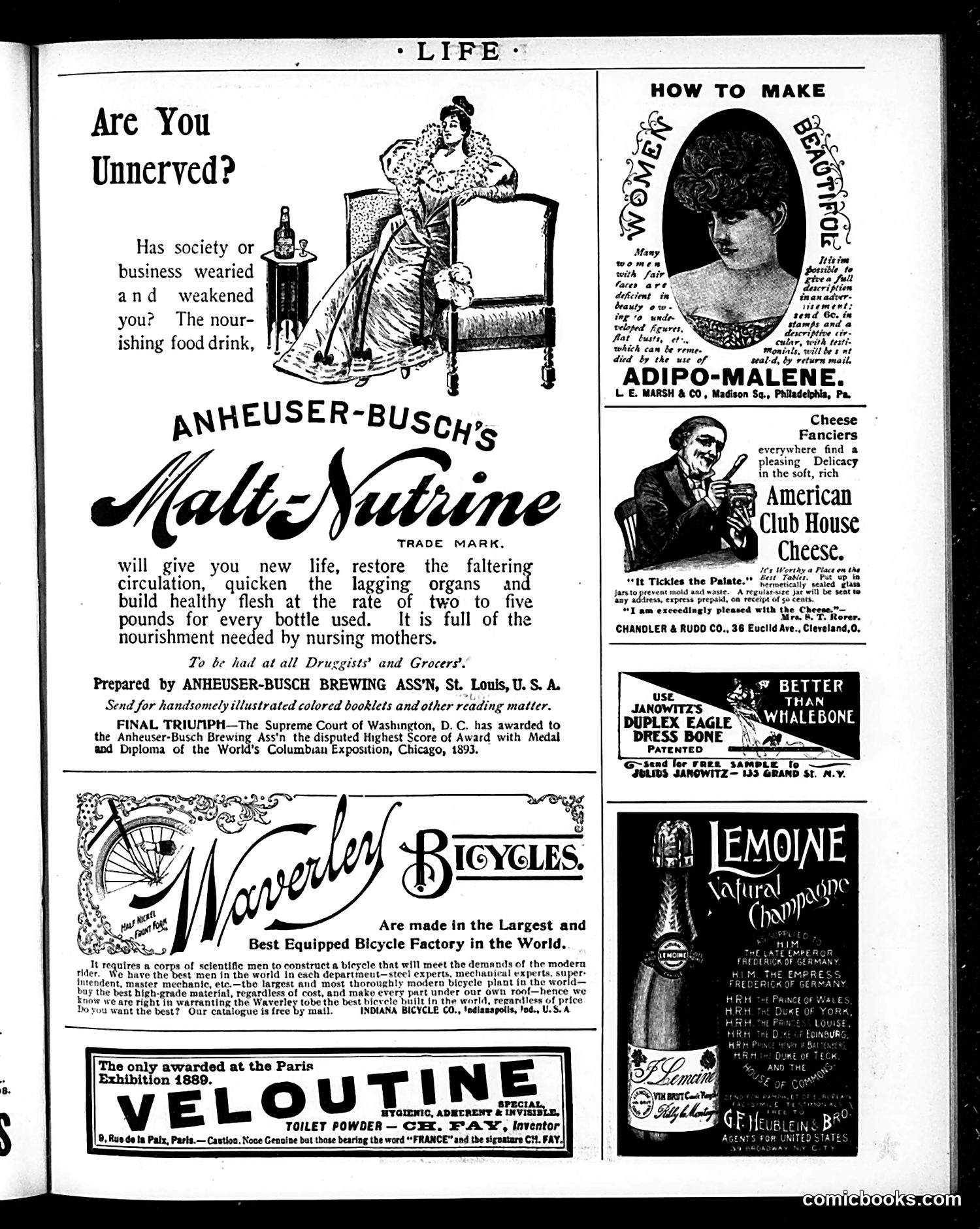 Life — December 5, 1895 — page 17 of 18