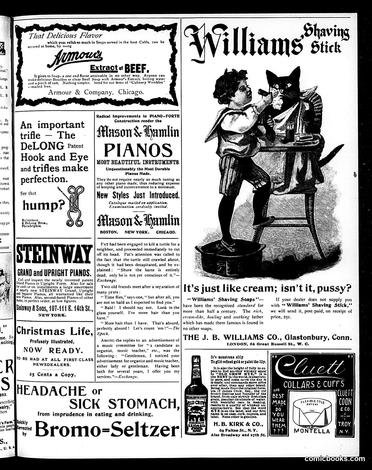Life — December 12, 1895 — page 15 of 18