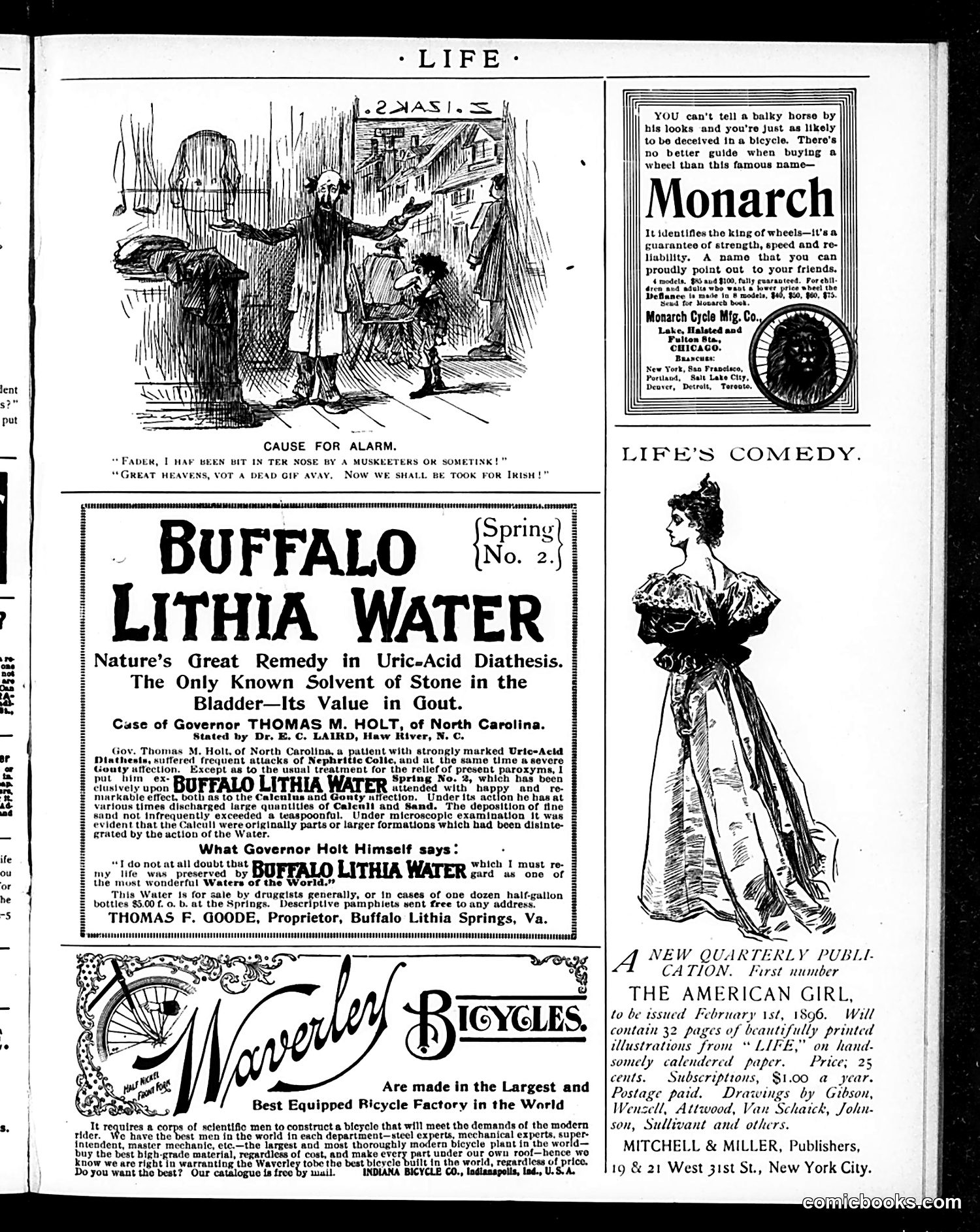 Life — December 26, 1895 — page 19 of 51