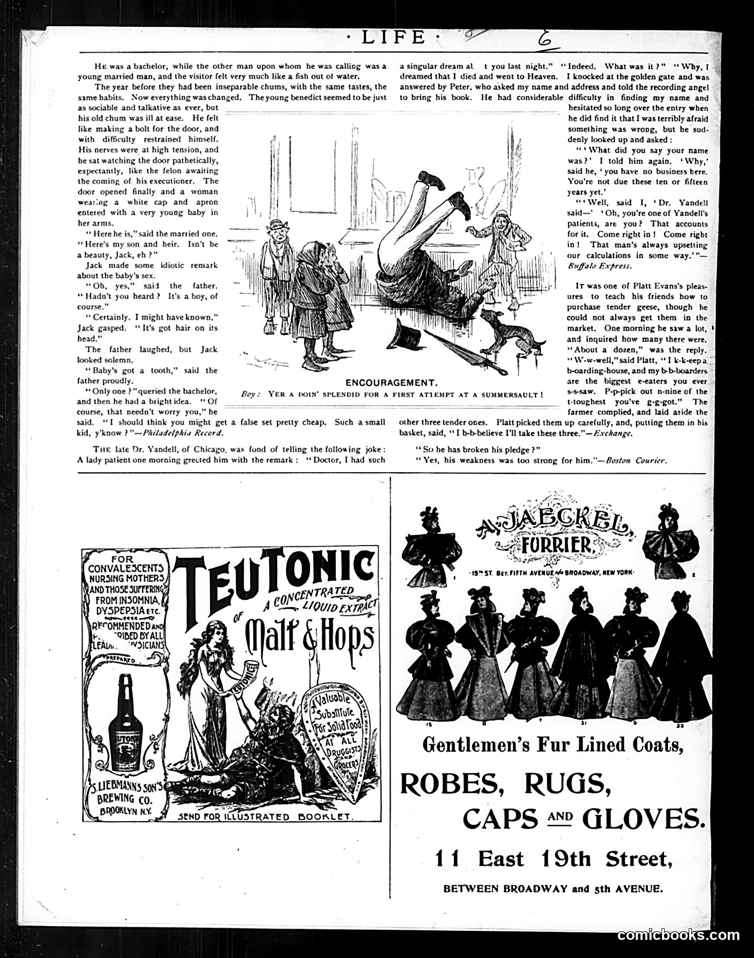 Life — December 26, 1895 — page 50 of 51