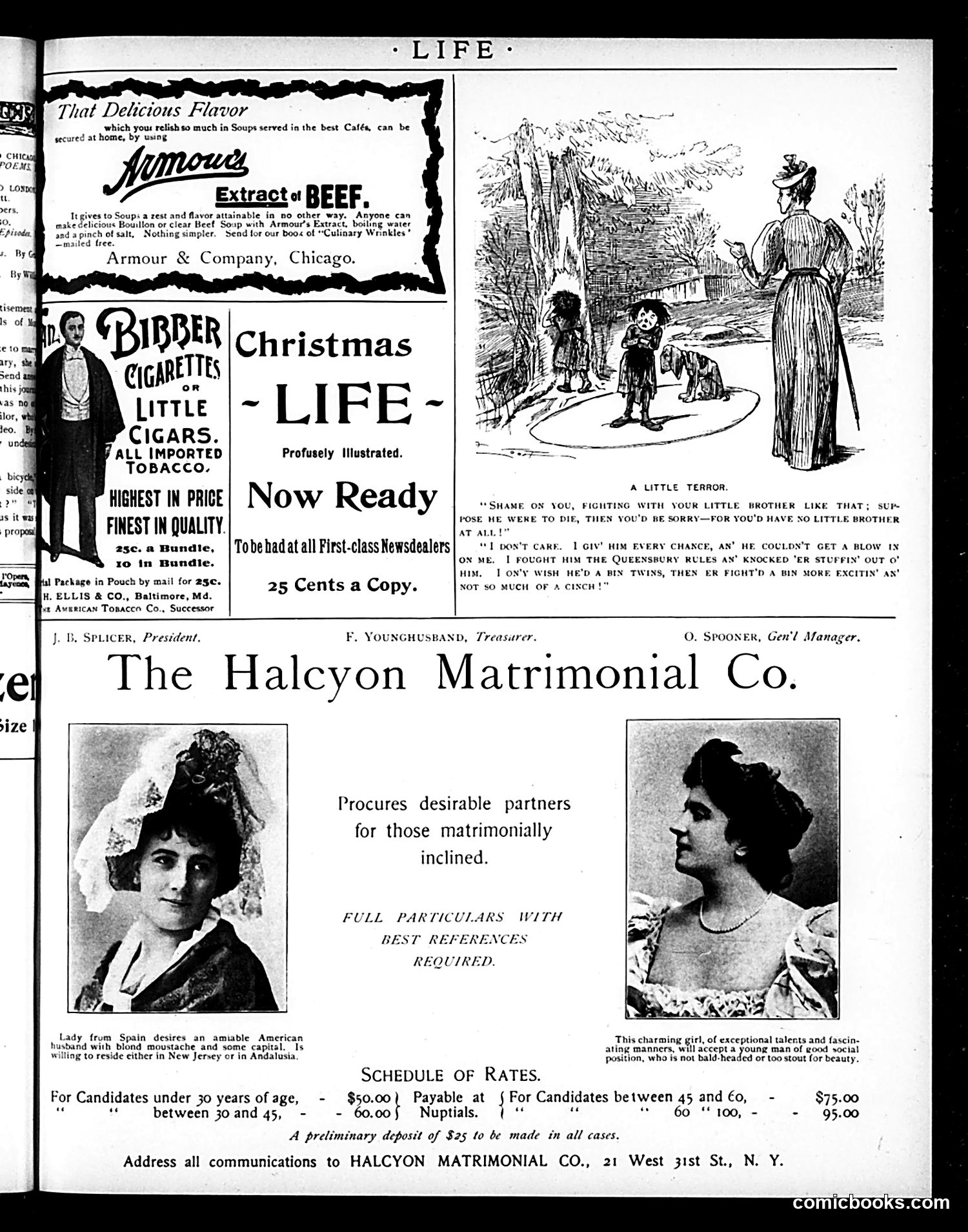 Life — January 2, 1896 — page 15 of 20