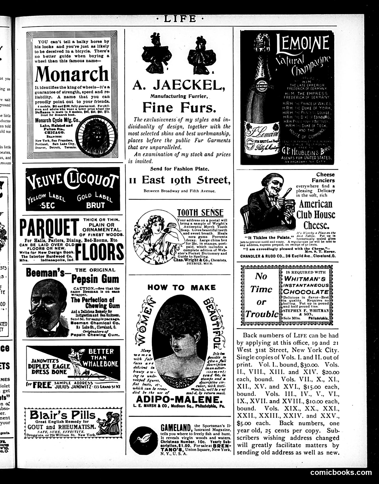 Life — January 2, 1896 — page 17 of 20