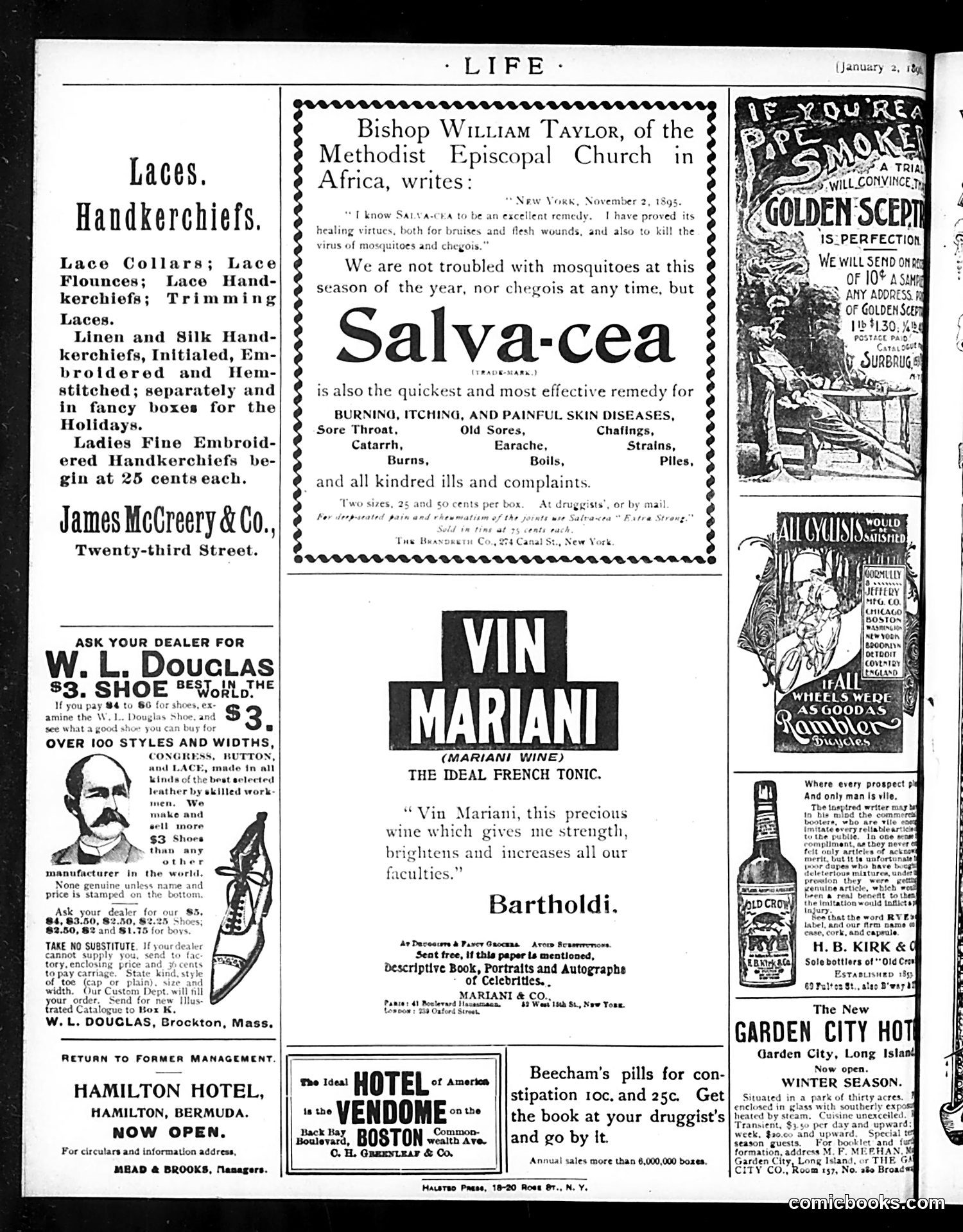 Life — January 2, 1896 — page 20 of 20