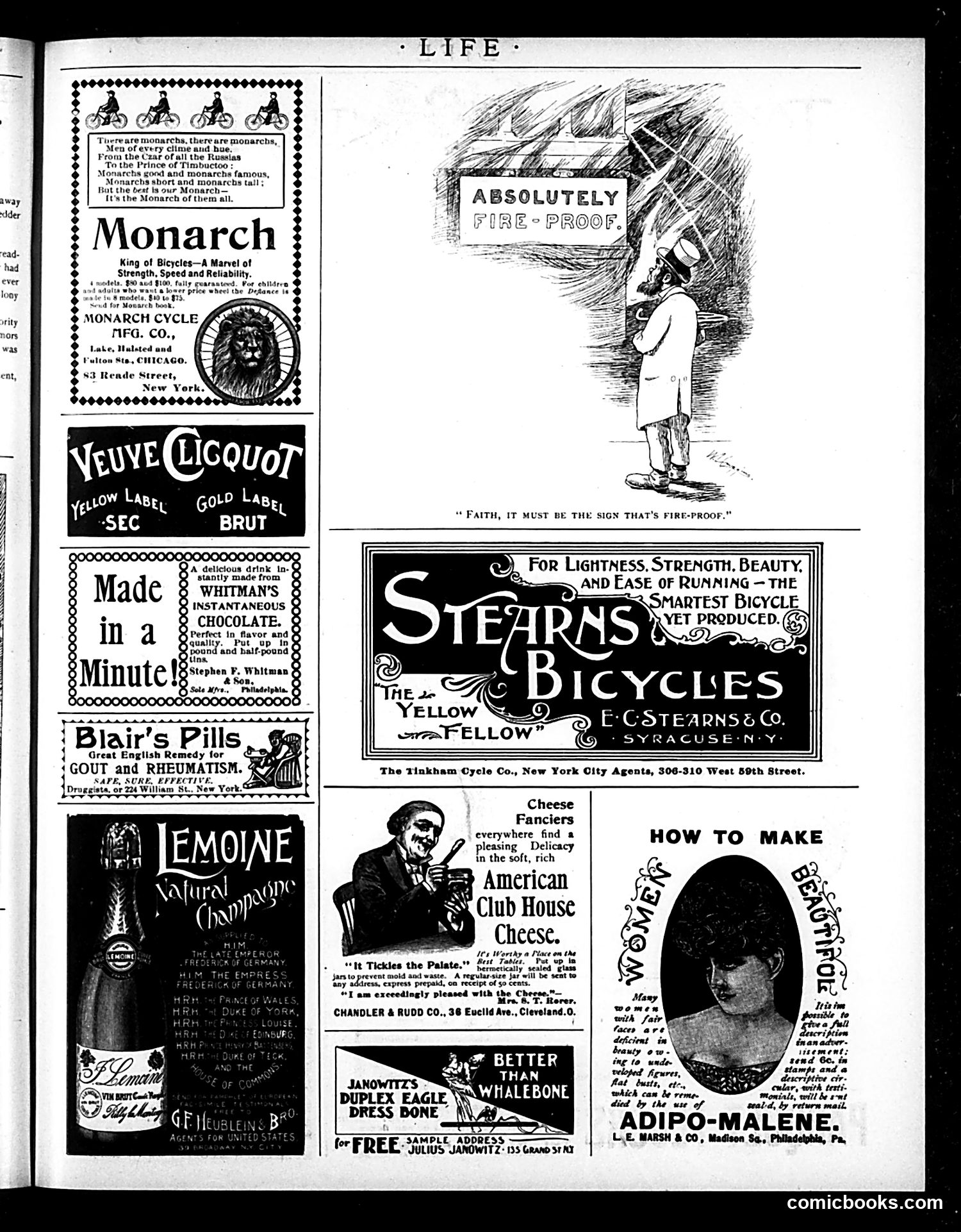 Life — January 16, 1896 — page 17 of 20