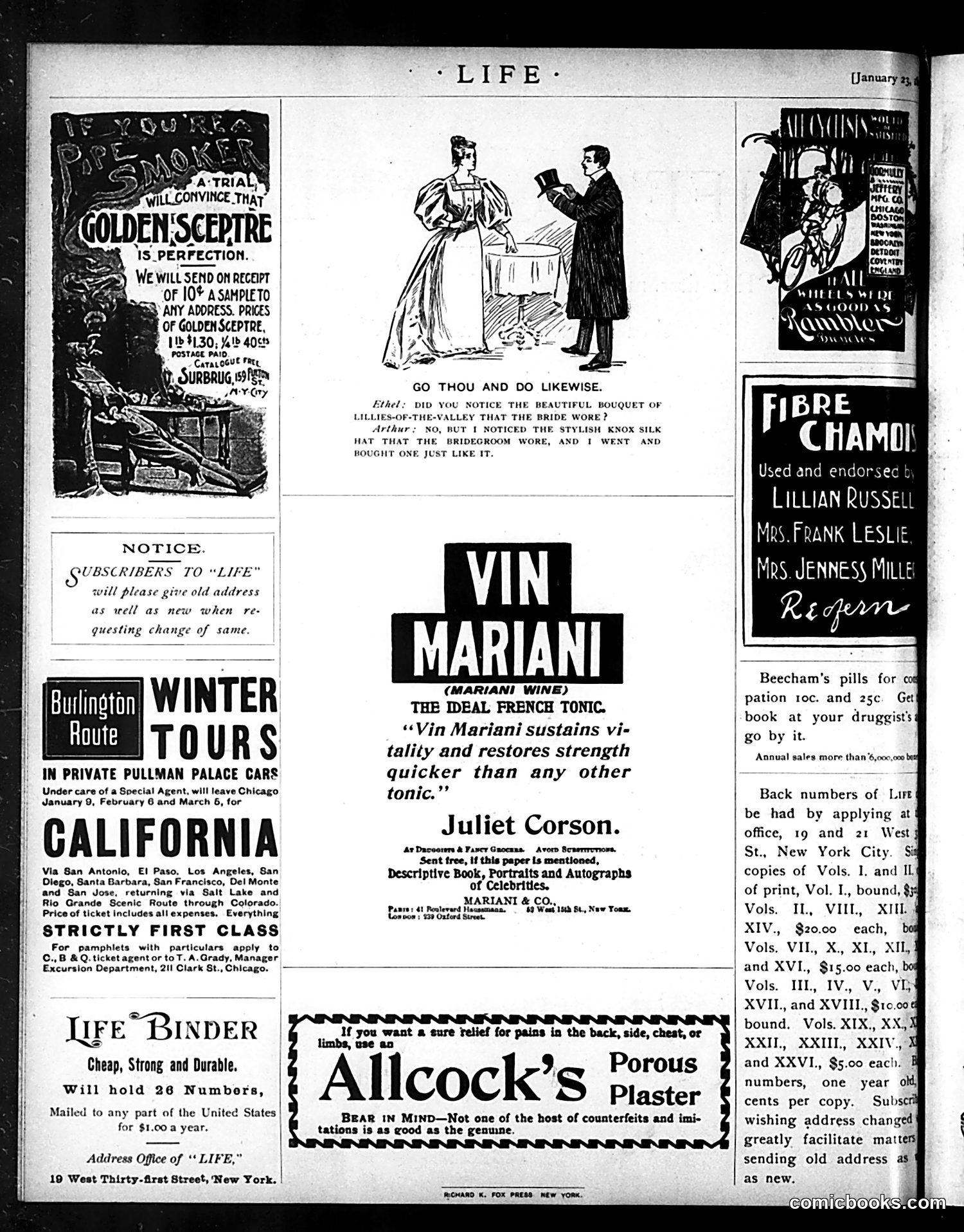 Life — January 23, 1896 — page 20 of 20