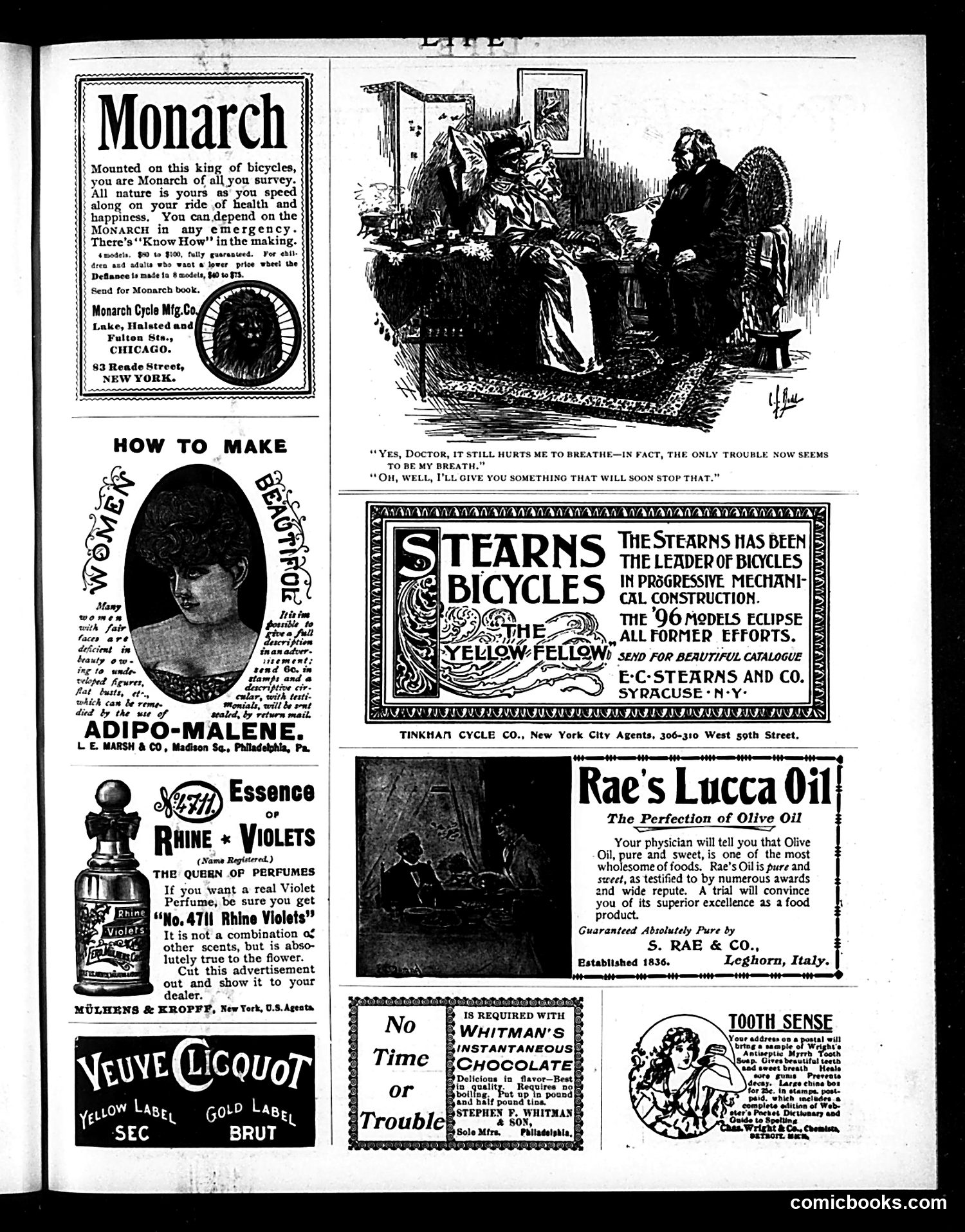 Life — January 30, 1896 — page 17 of 20