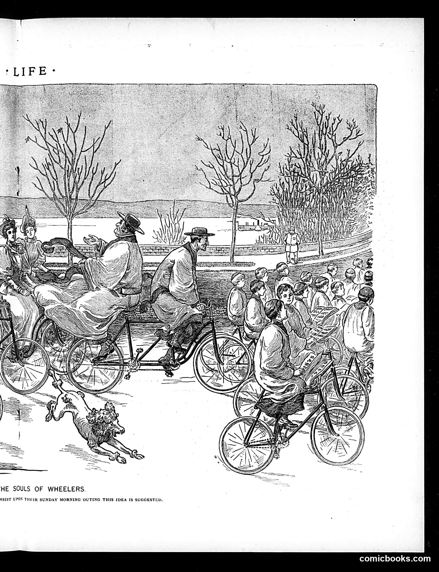 Life — February 6, 1896 — page 11 of 20