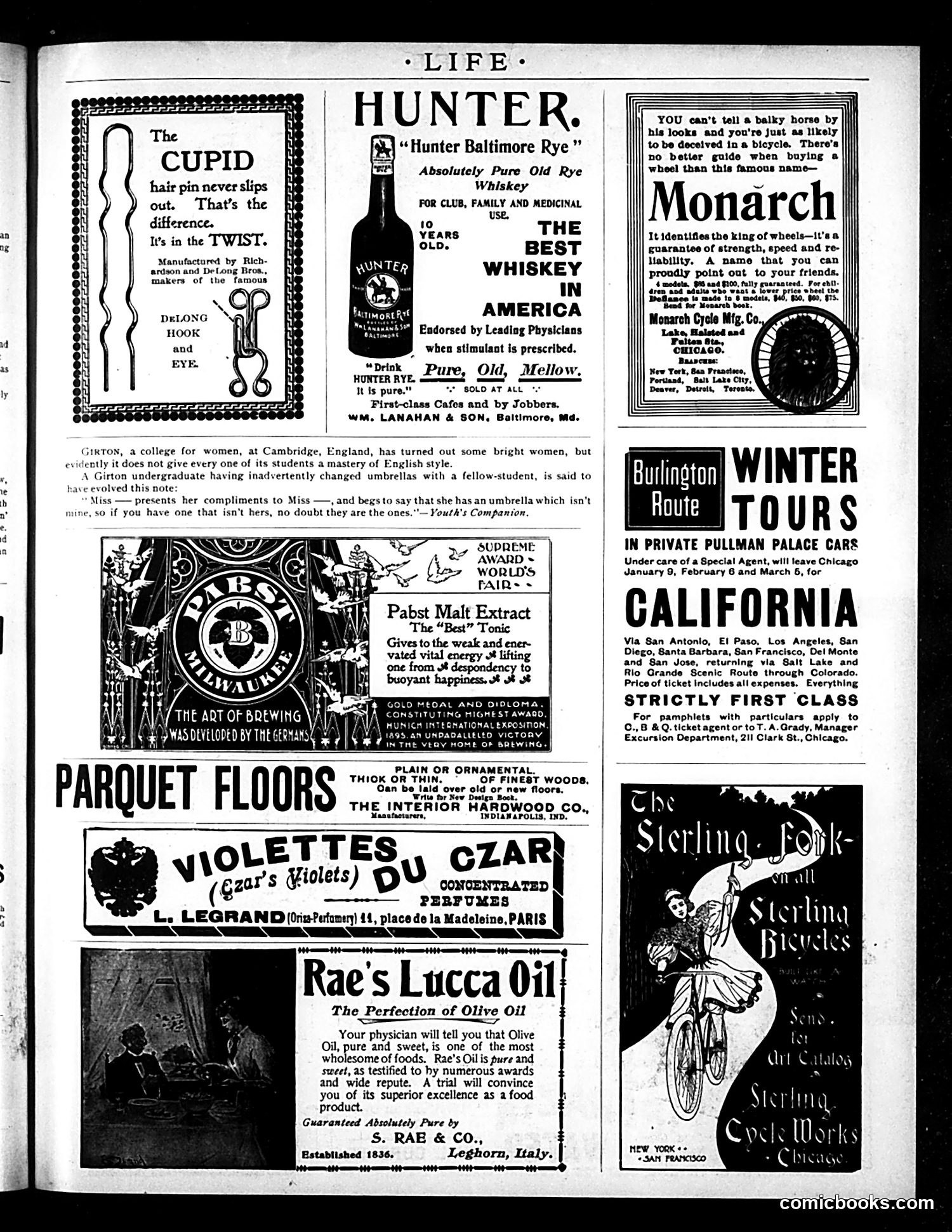 Life — February 20, 1896 — page 17 of 20