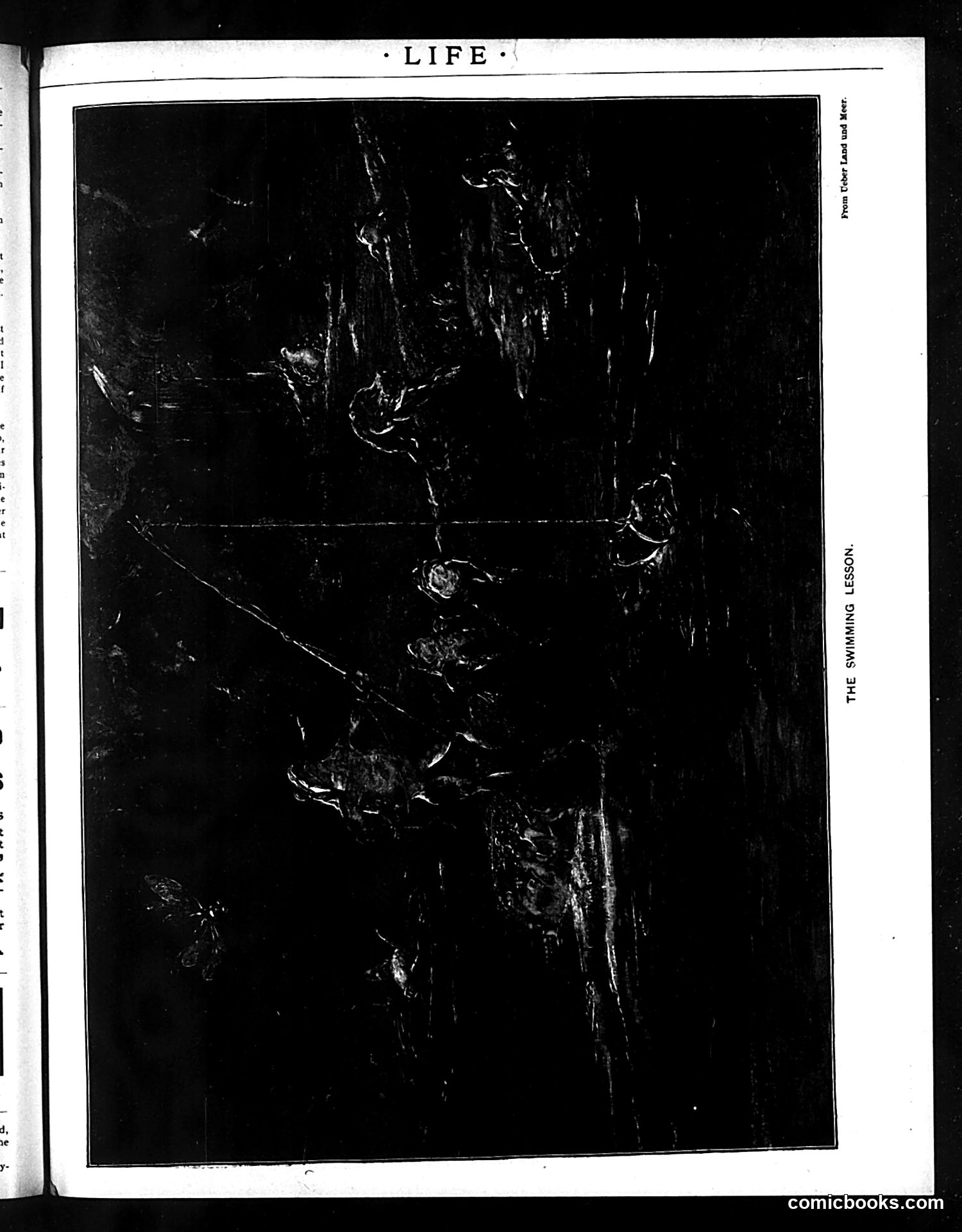 Life — February 20, 1896 — page 19 of 20
