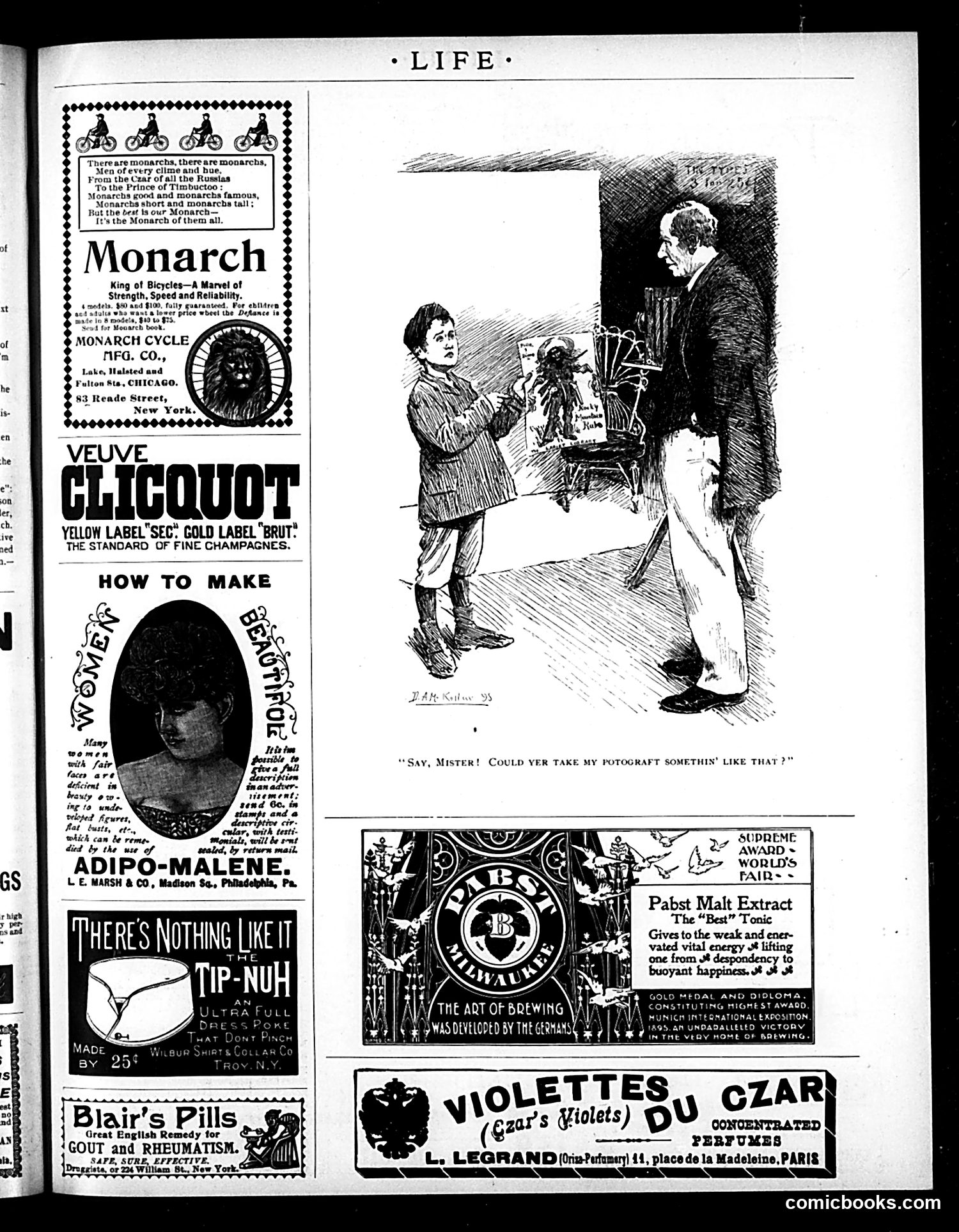 Life — February 27, 1896 — page 17 of 20
