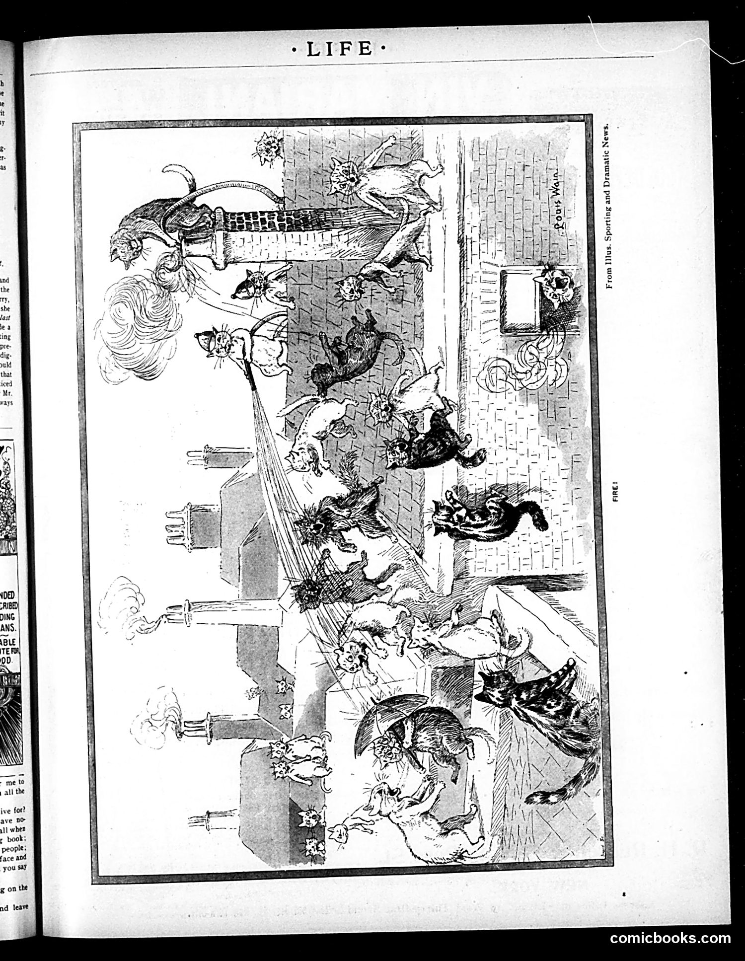 Life — February 27, 1896 — page 19 of 20