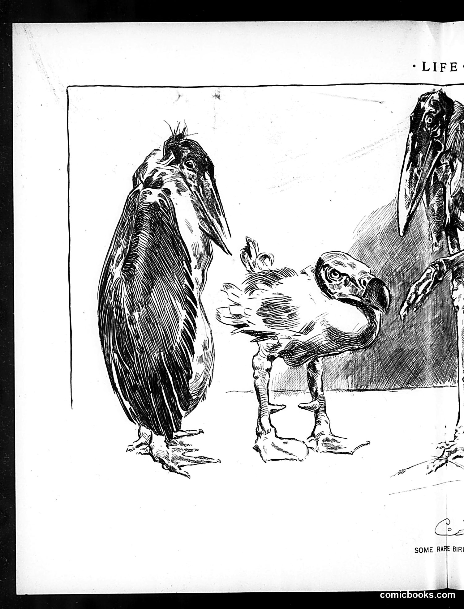 Life — March 26, 1896 — page 10 of 20