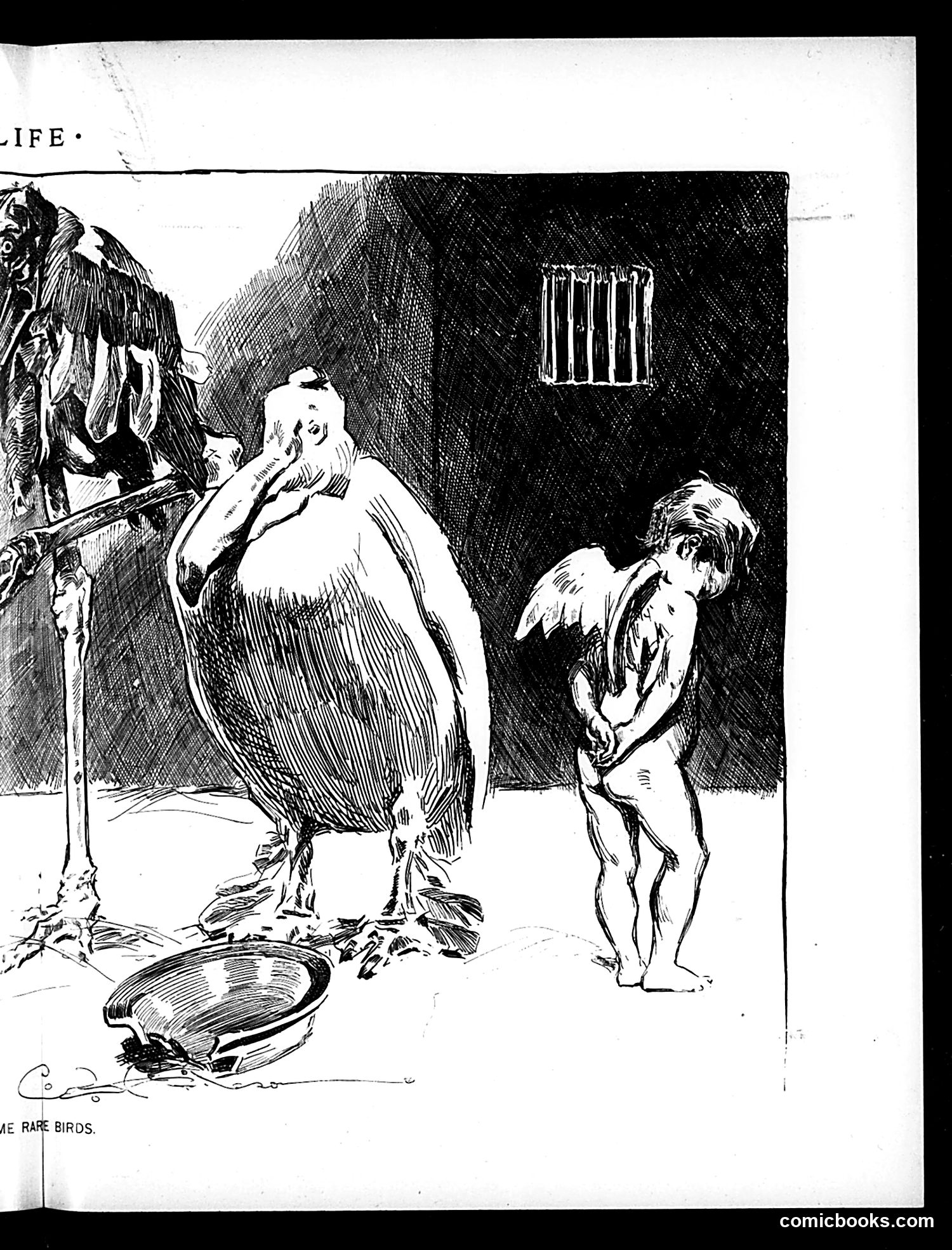 Life — March 26, 1896 — page 11 of 20