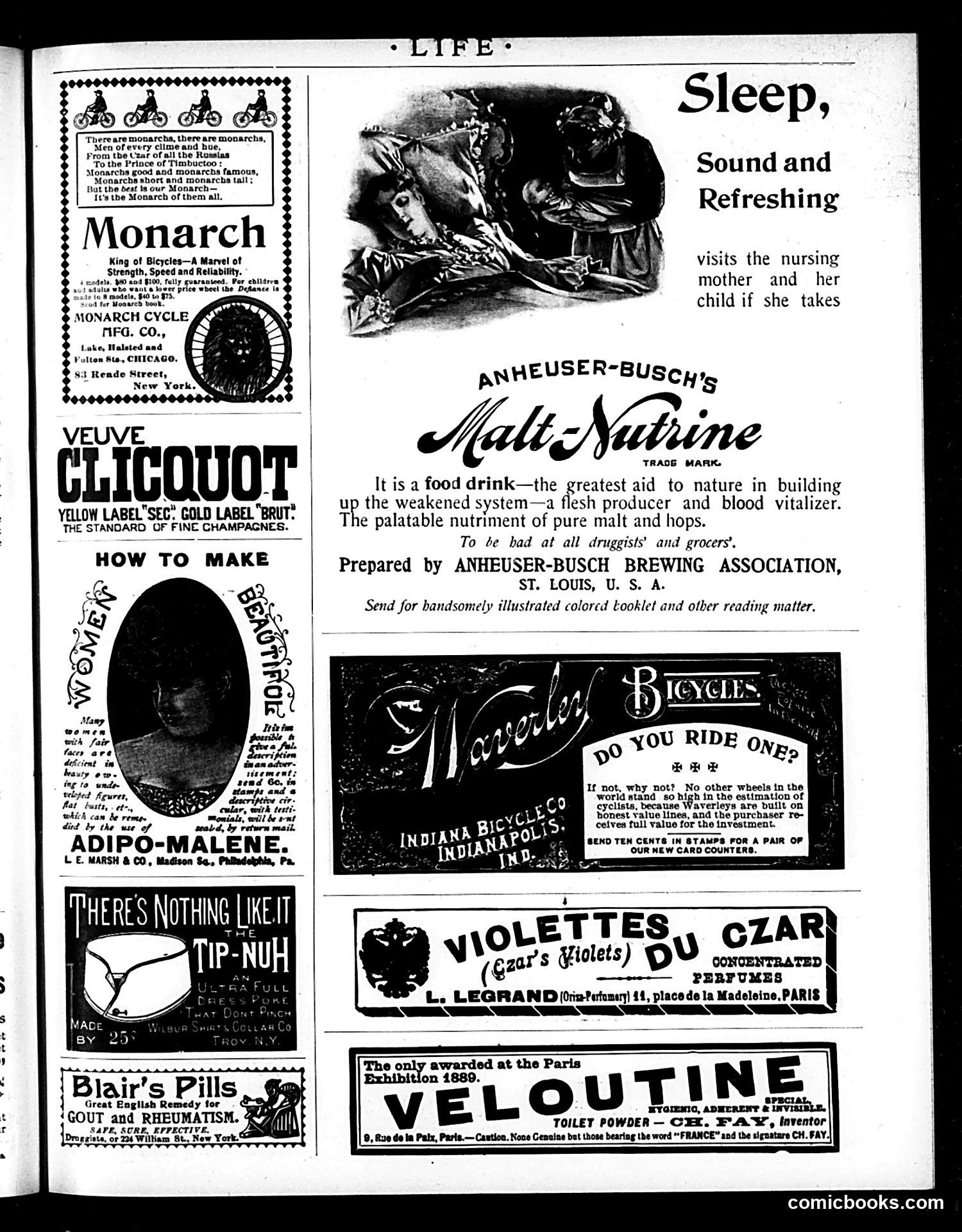 Life — March 26, 1896 — page 17 of 20