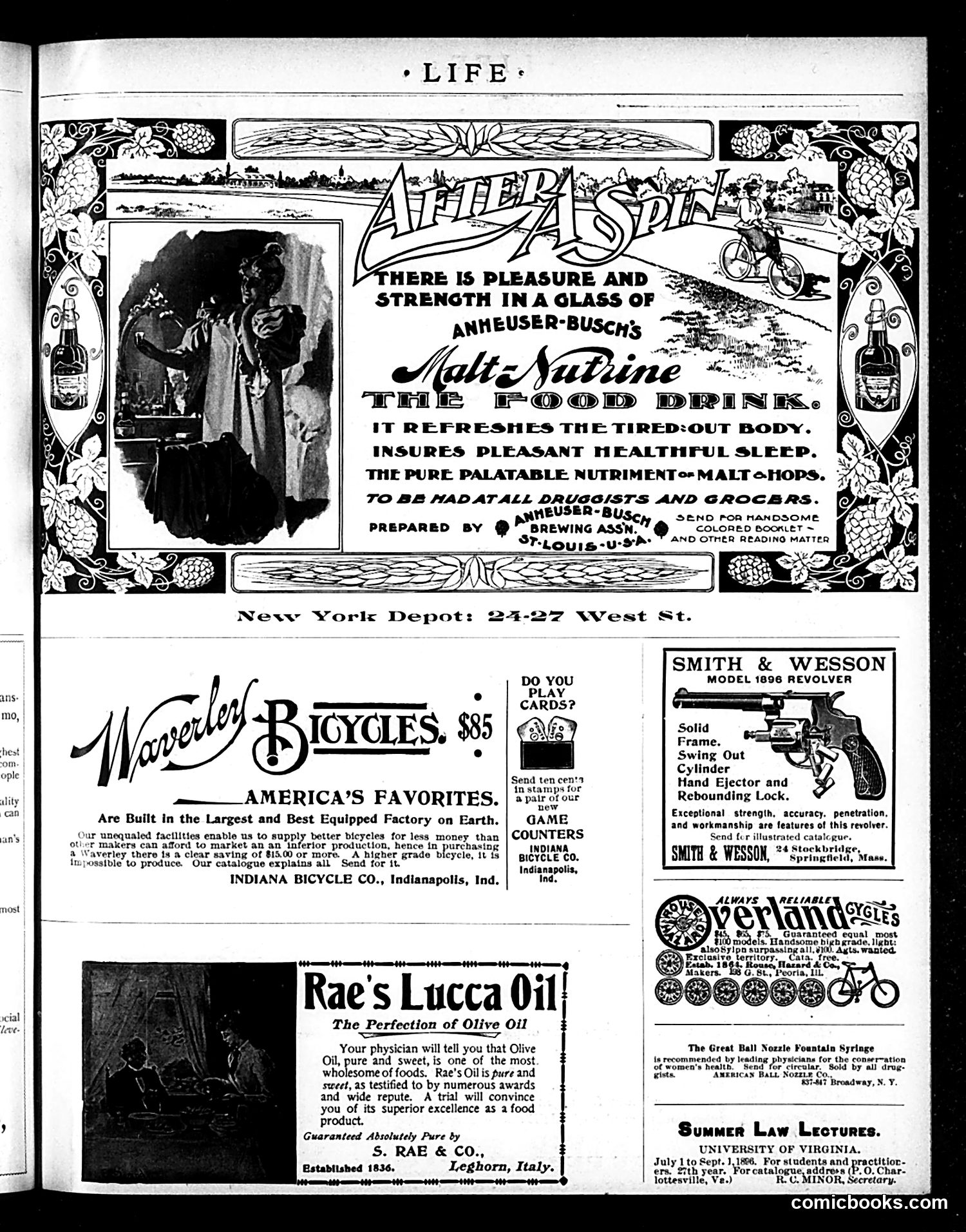 Life — April 2, 1896 — page 3 of 32