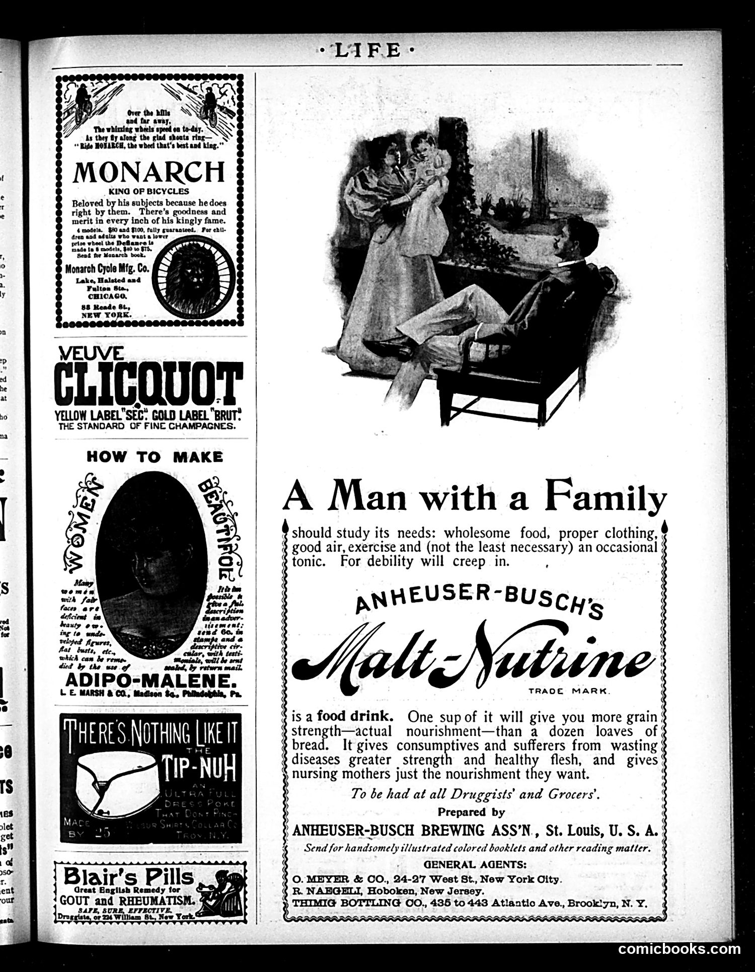 Life — April 9, 1896 — page 17 of 20