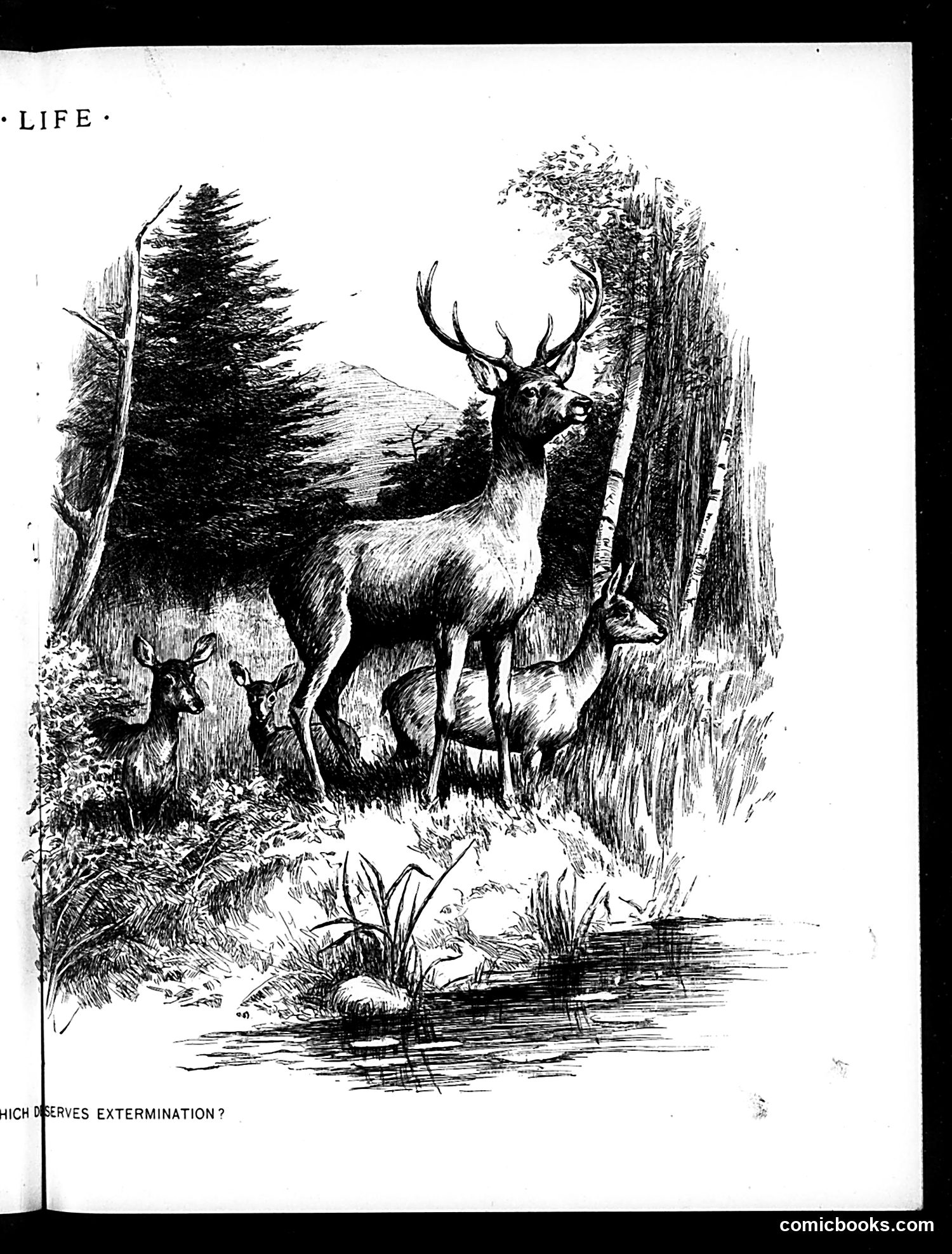 Life — April 23, 1896 — page 11 of 20