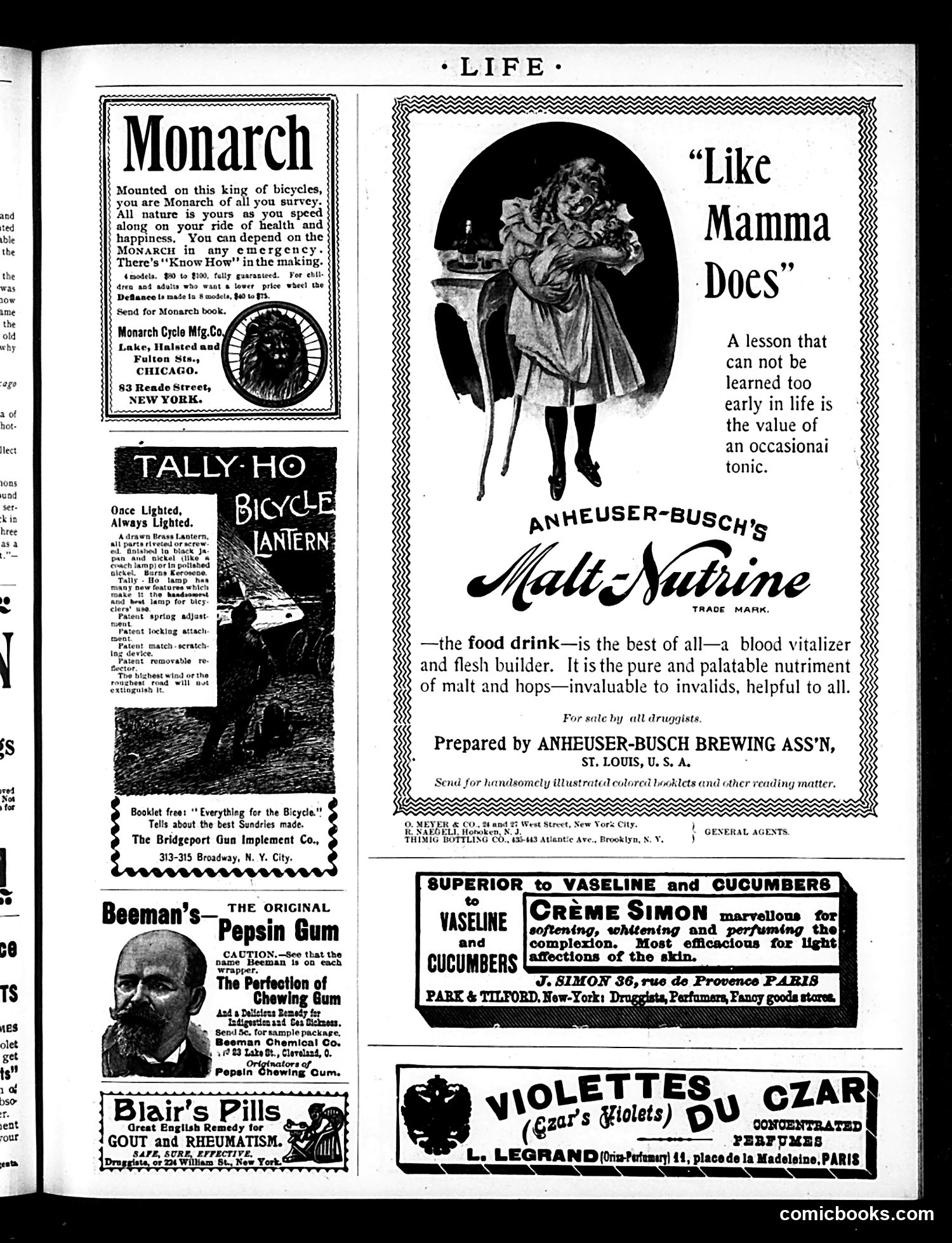 Life — April 23, 1896 — page 17 of 20