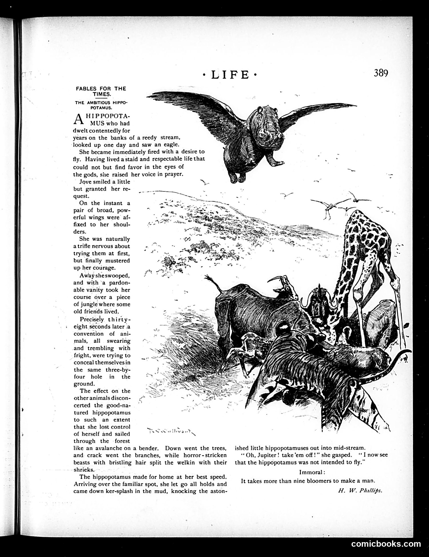 Life — May 14, 1896 — page 9 of 20