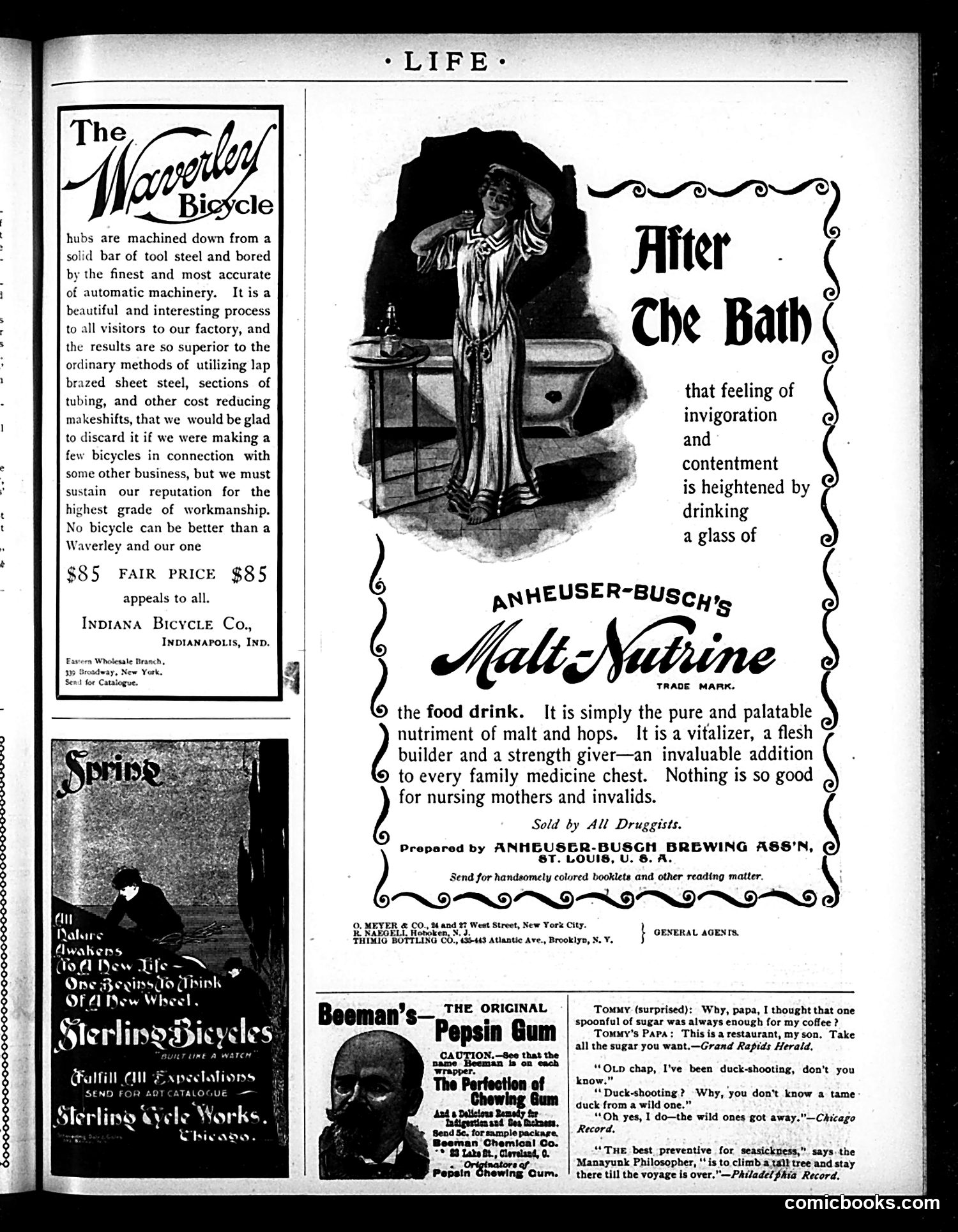 Life — May 21, 1896 — page 17 of 20