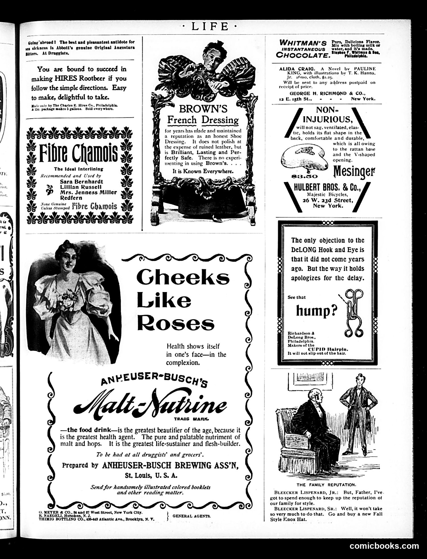 Life — May 28, 1896 — page 3 of 28