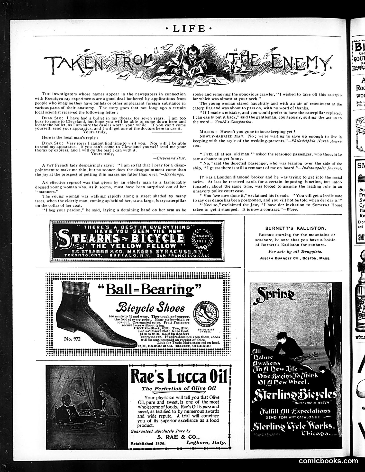 Life — June 4, 1896 — page 16 of 20