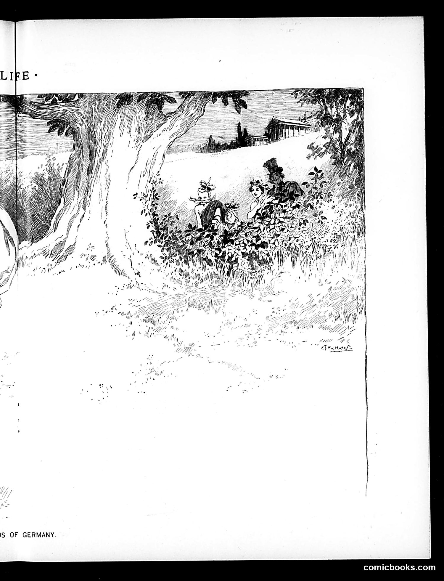 Life — June 11, 1896 — page 11 of 20