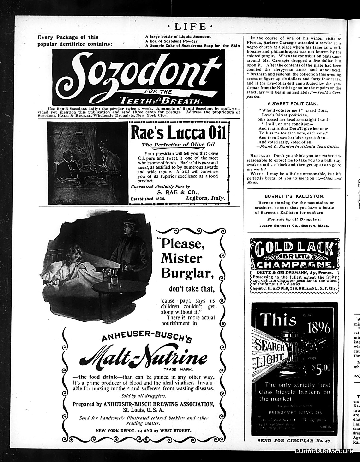 Life — June 25, 1896 — page 16 of 17