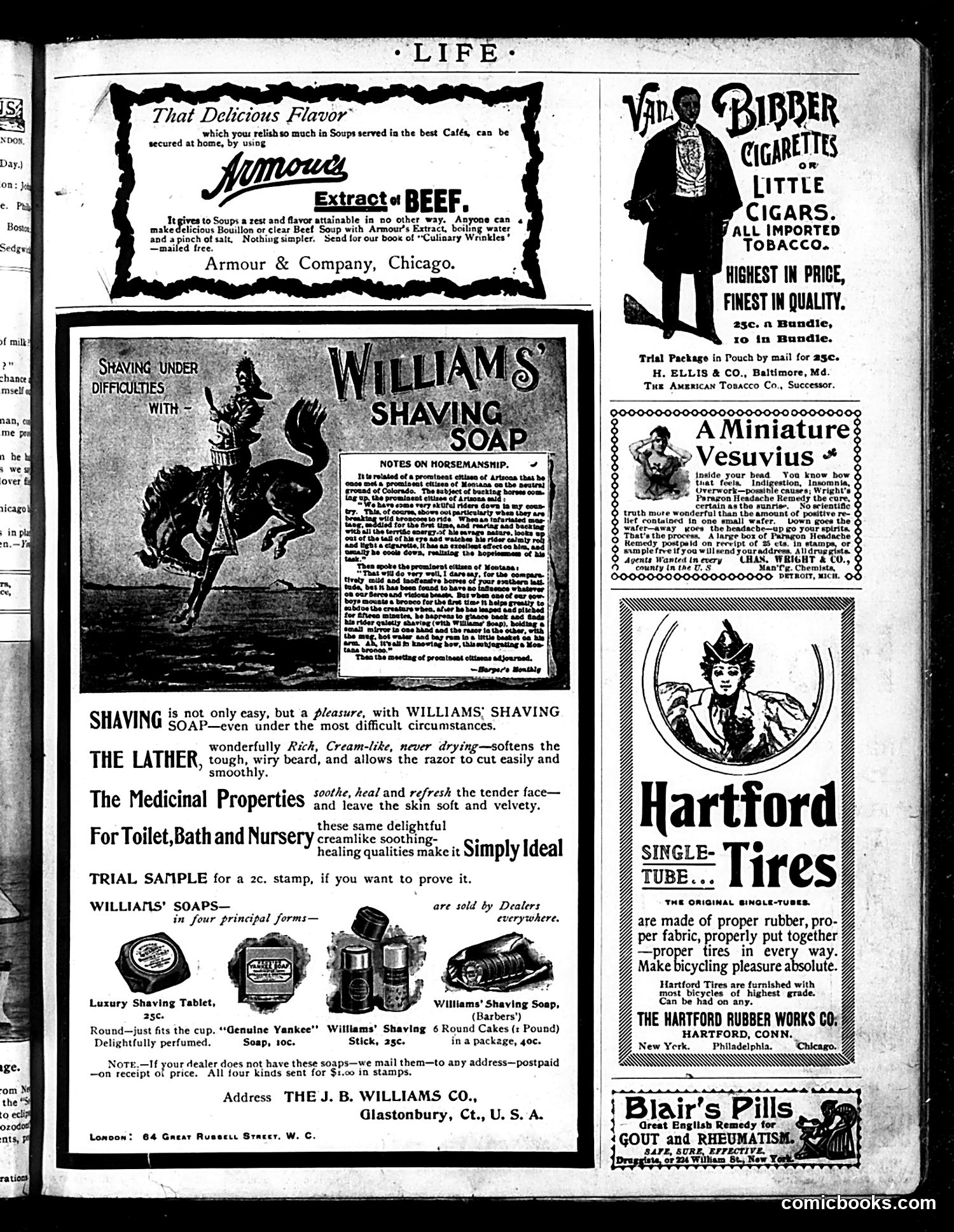 Life — July 2, 1896 — page 13 of 18