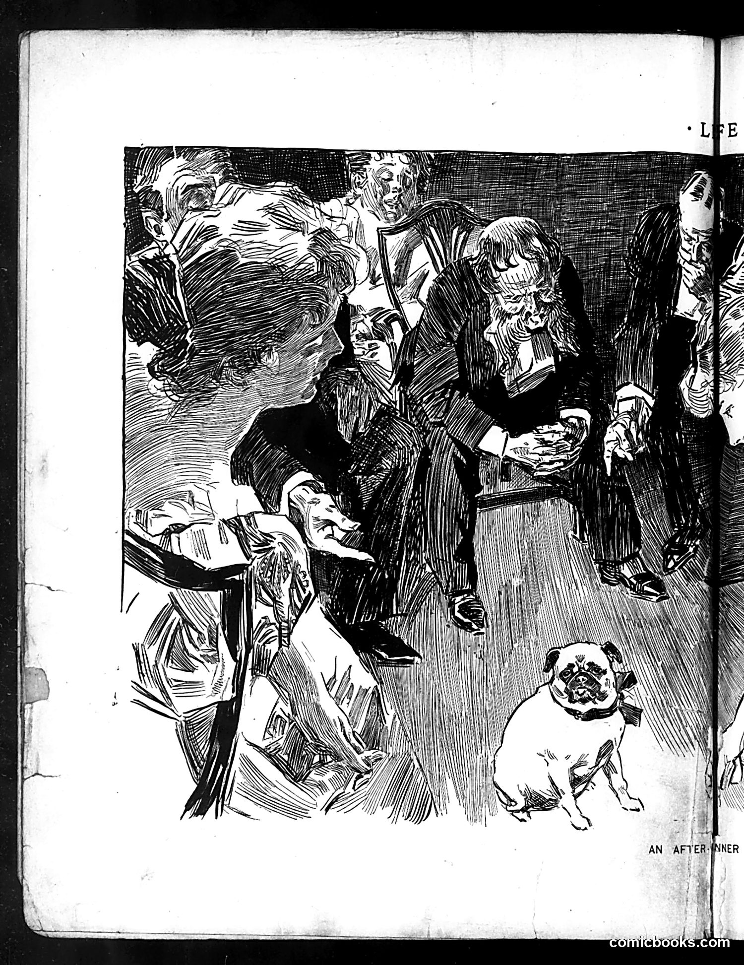 Life — July 9, 1896 — page 8 of 18