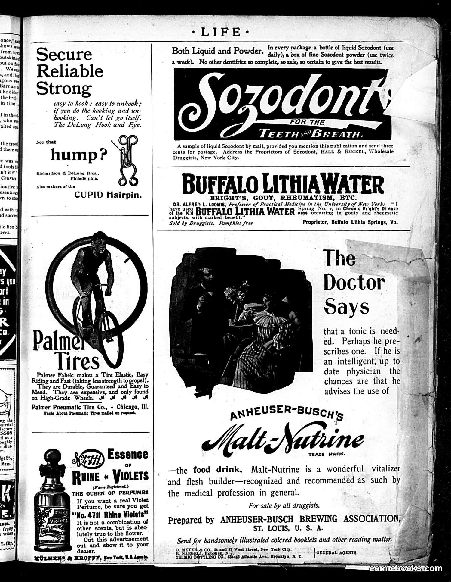 Life — July 16, 1896 — page 5 of 20