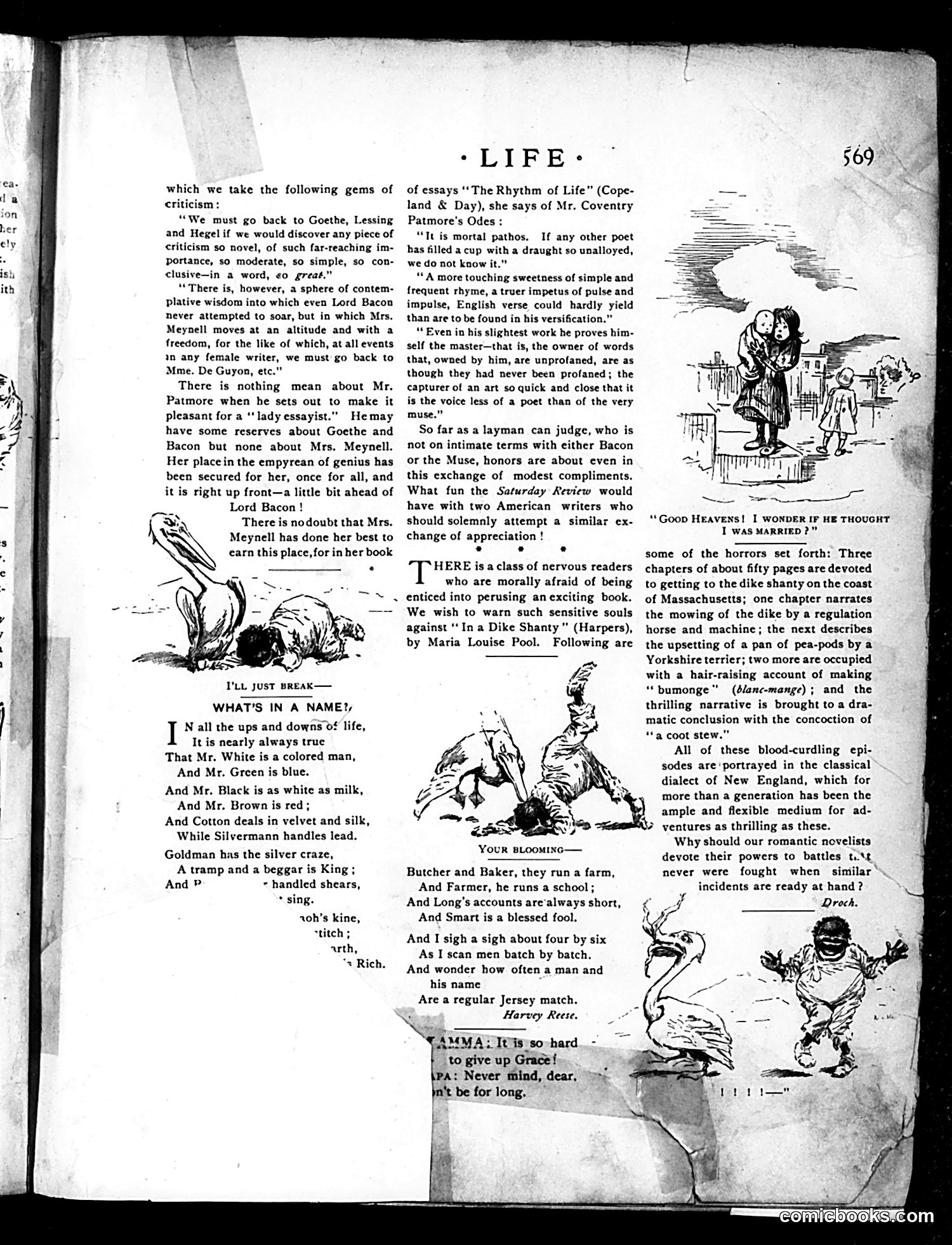 Life — July 16, 1896 — page 9 of 20
