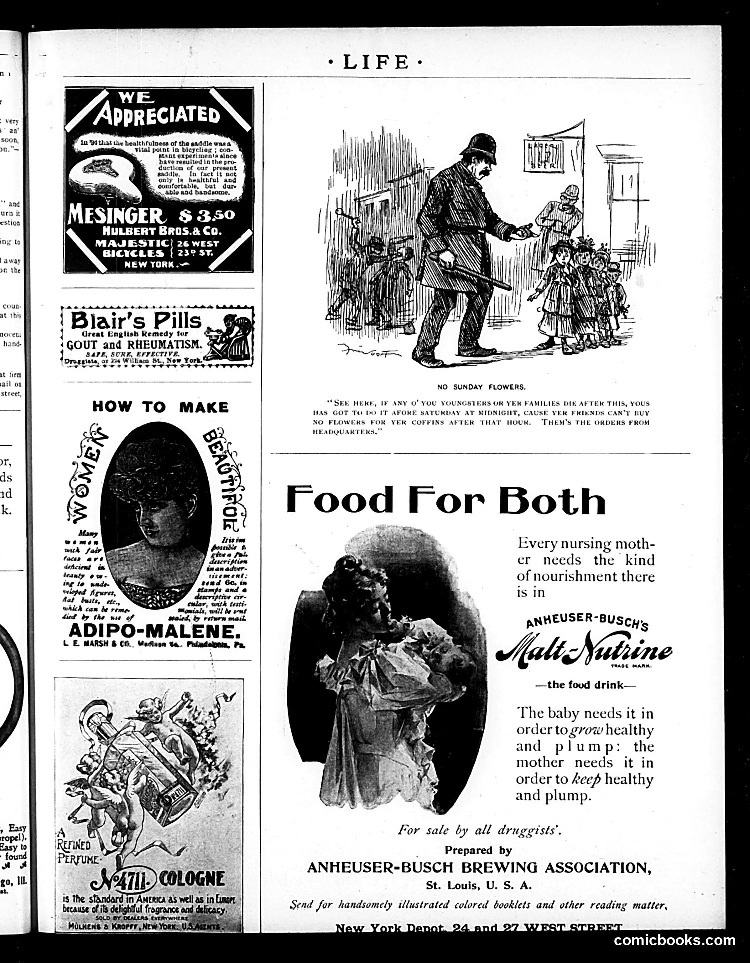Life — July 16, 1896 — page 19 of 20