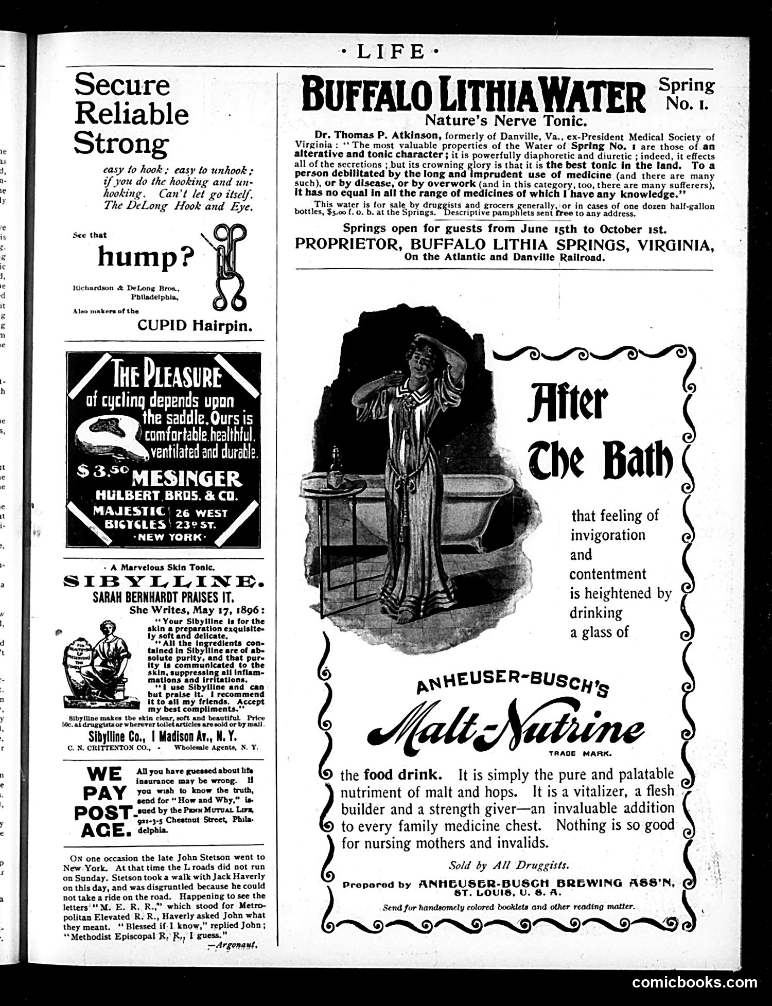 Life — July 23, 1896 — page 17 of 18