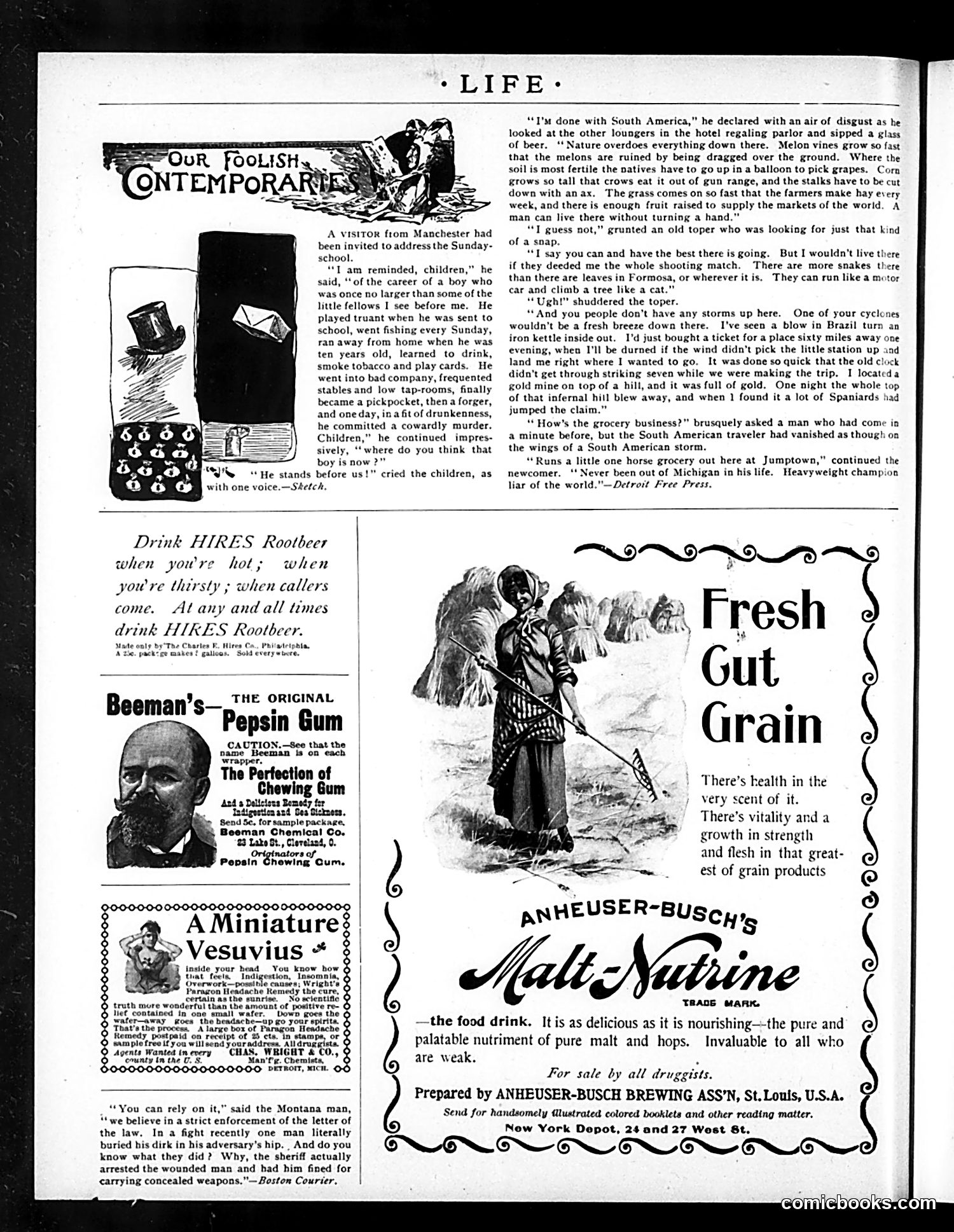 Life — July 30, 1896 — page 16 of 18