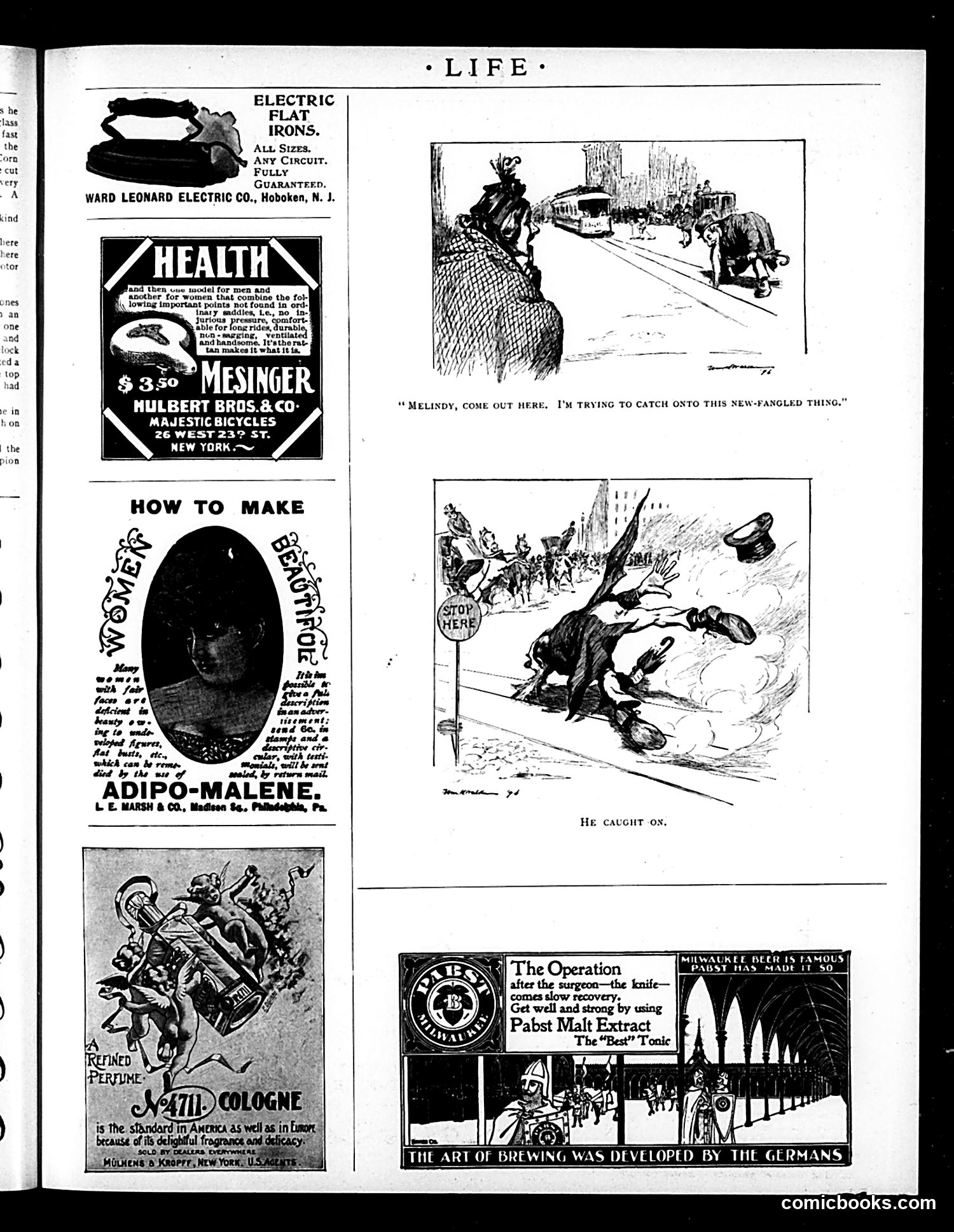 Life — July 30, 1896 — page 17 of 18