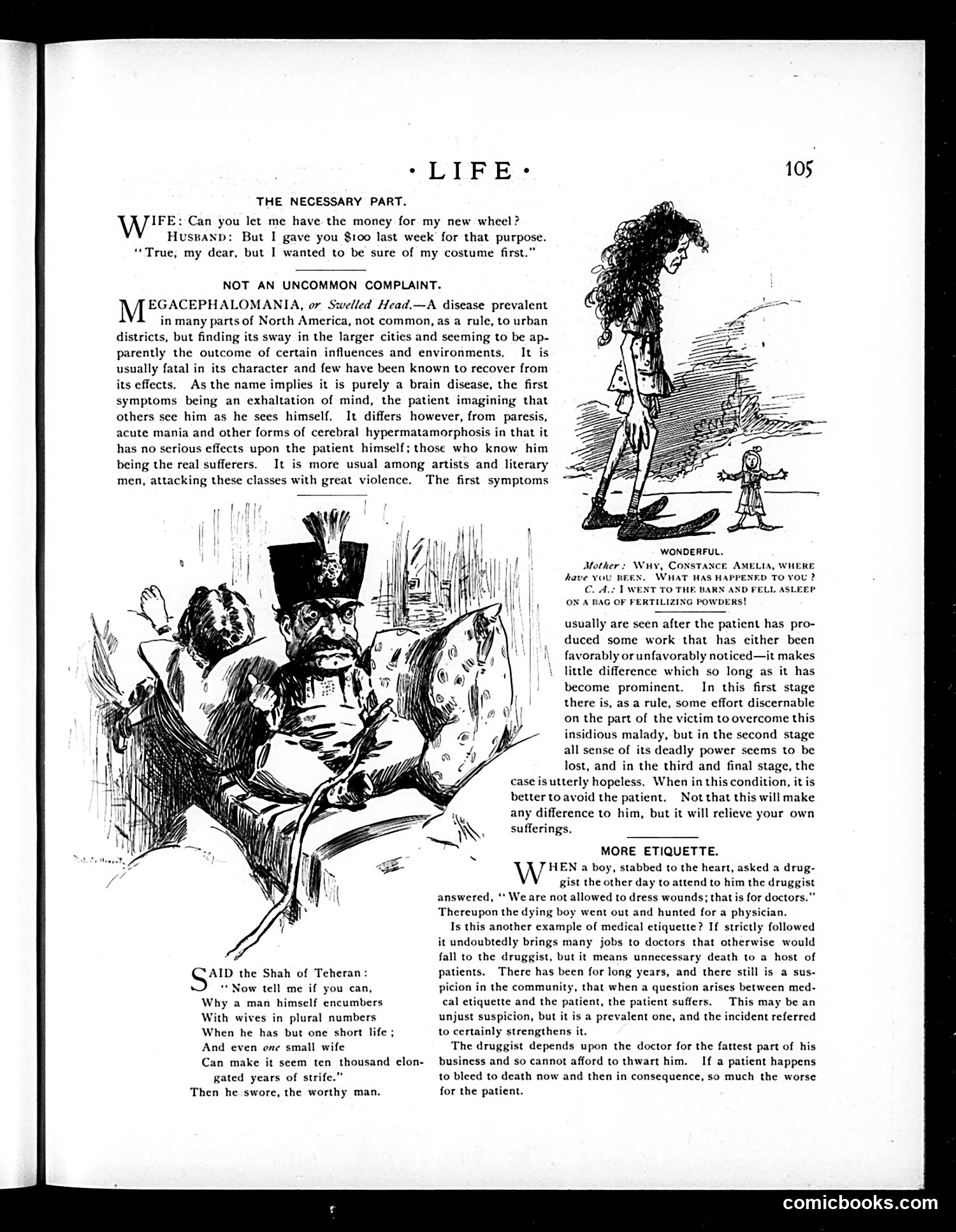 Life — August 6, 1896 — page 13 of 18