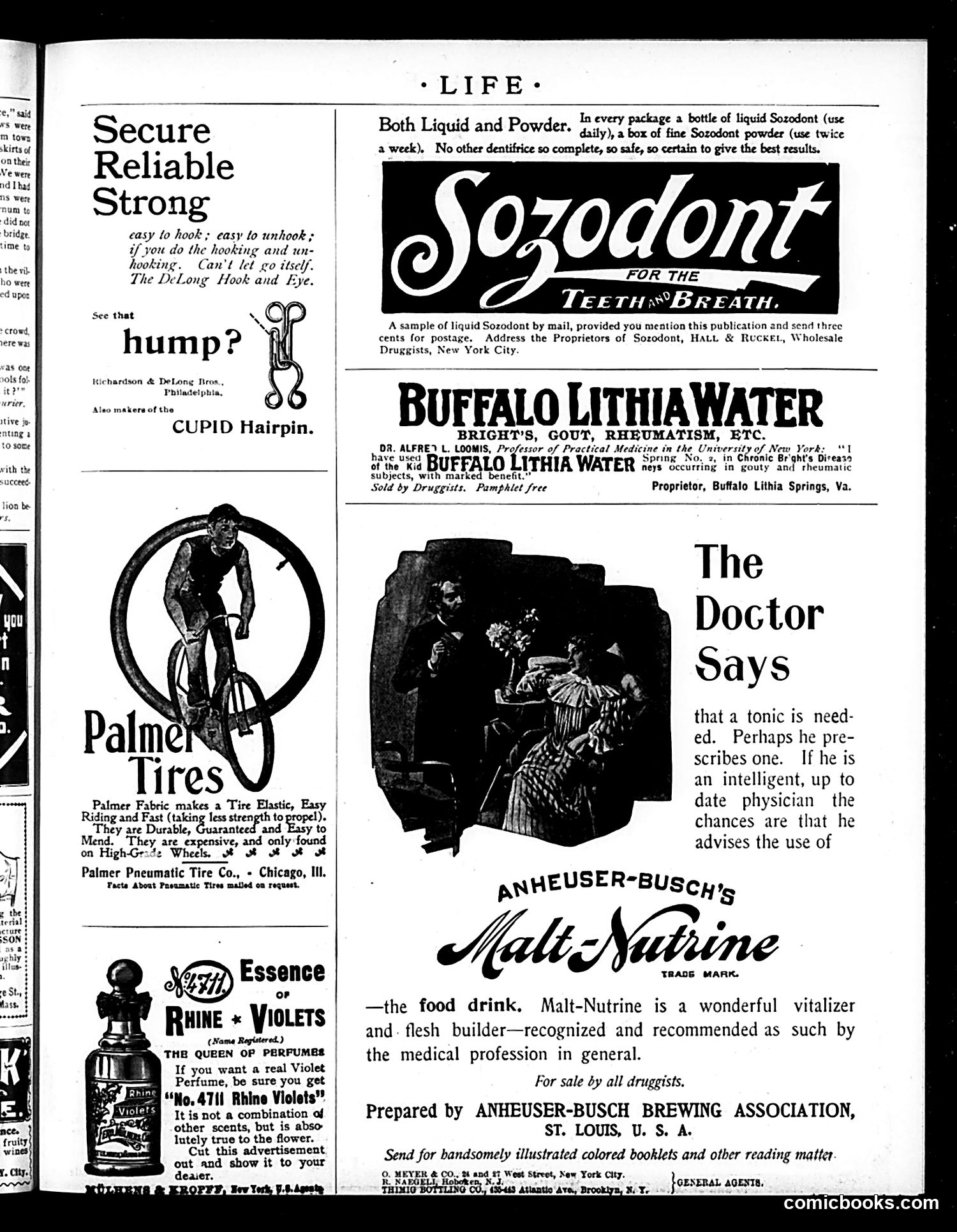 Life — August 6, 1896 — page 17 of 18