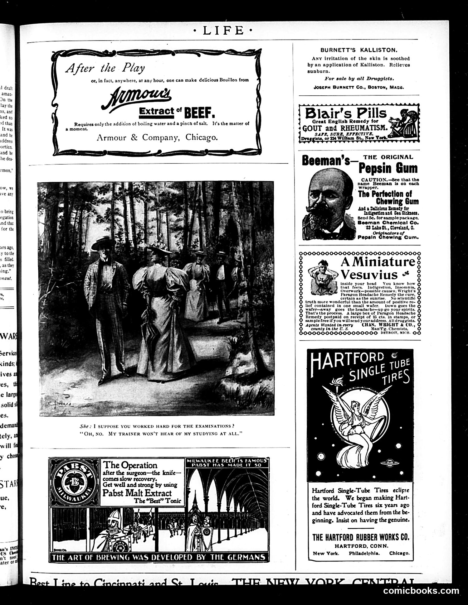 Life — August 13, 1896 — page 15 of 18