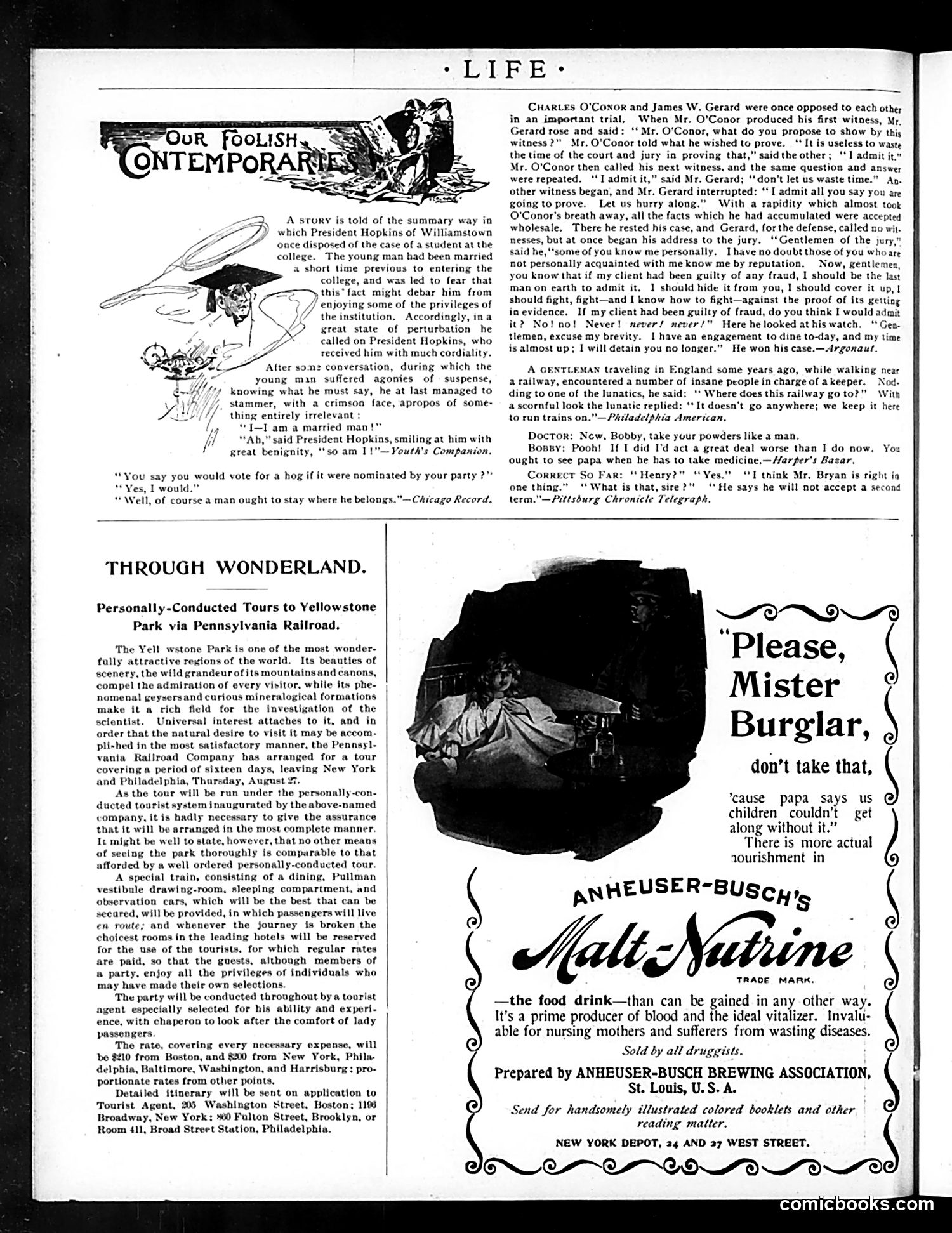 Life — August 13, 1896 — page 16 of 18