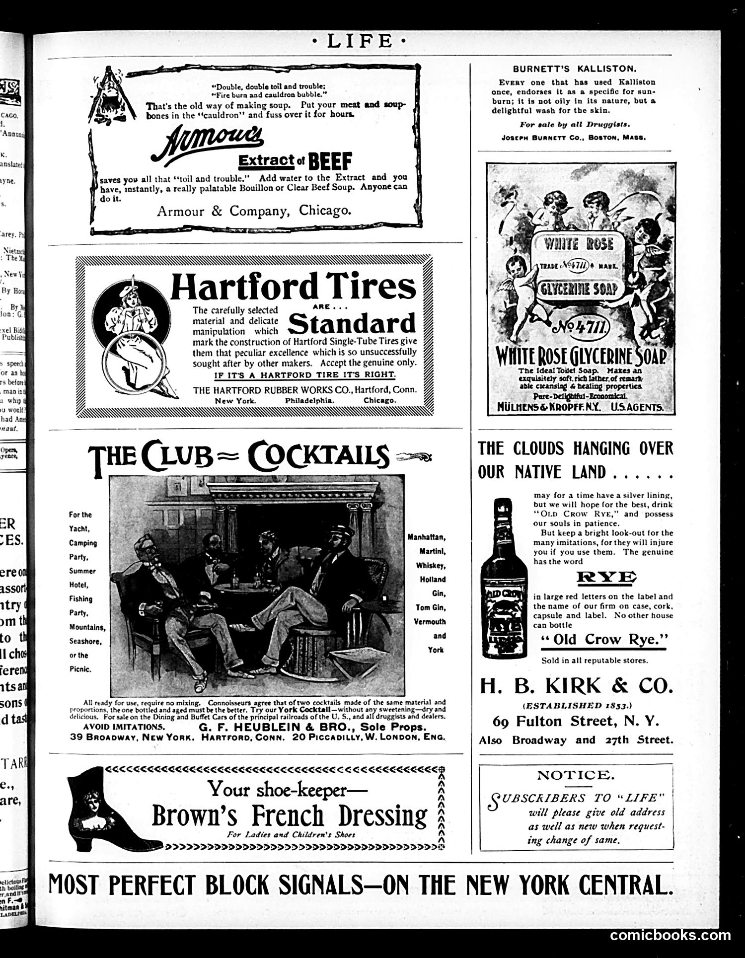 Life — August 20, 1896 — page 15 of 20