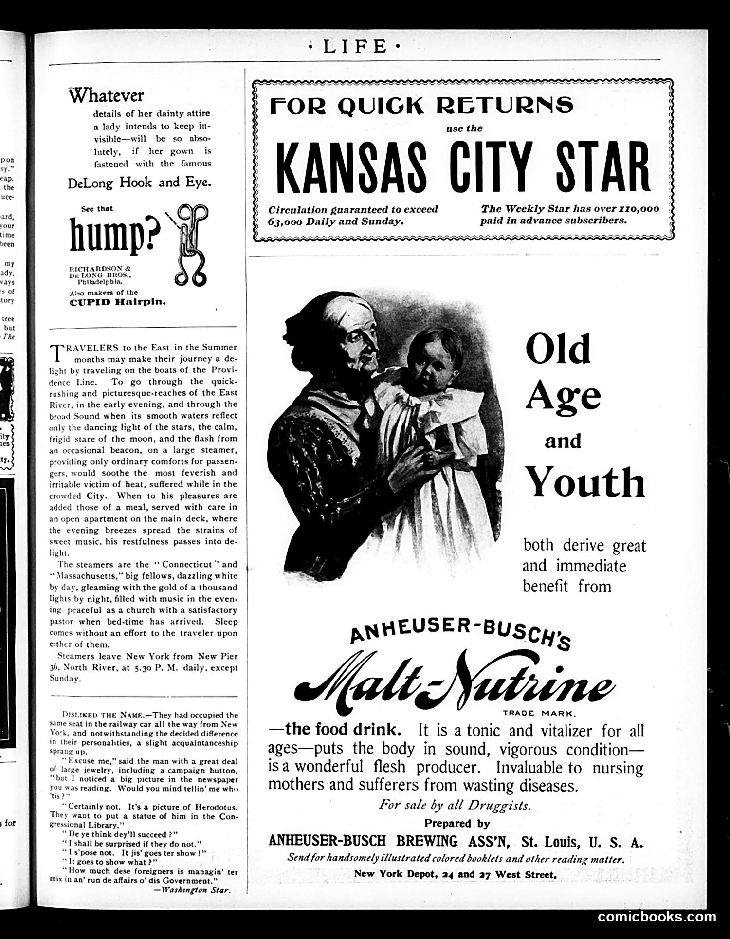 Life — August 20, 1896 — page 17 of 20