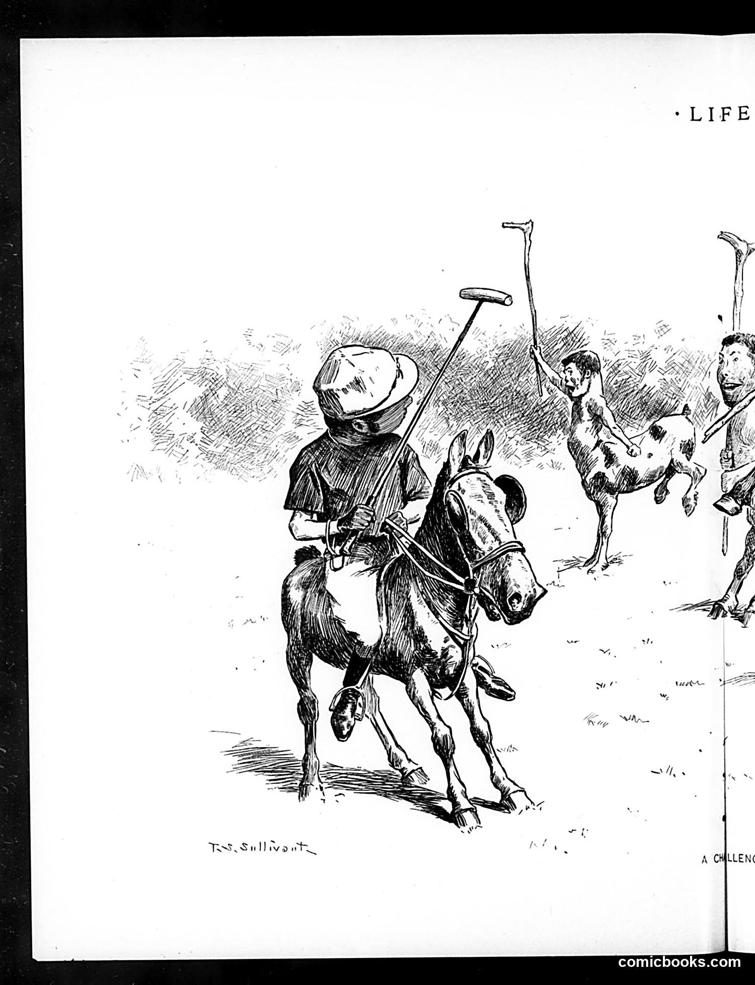 Life — September 3, 1896 — page 8 of 18