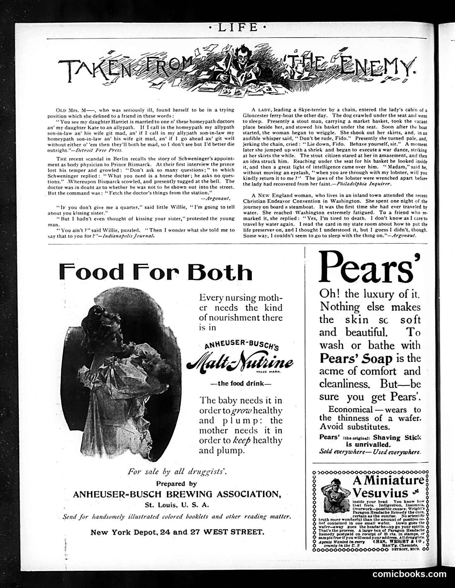 Life — September 10, 1896 — page 16 of 20