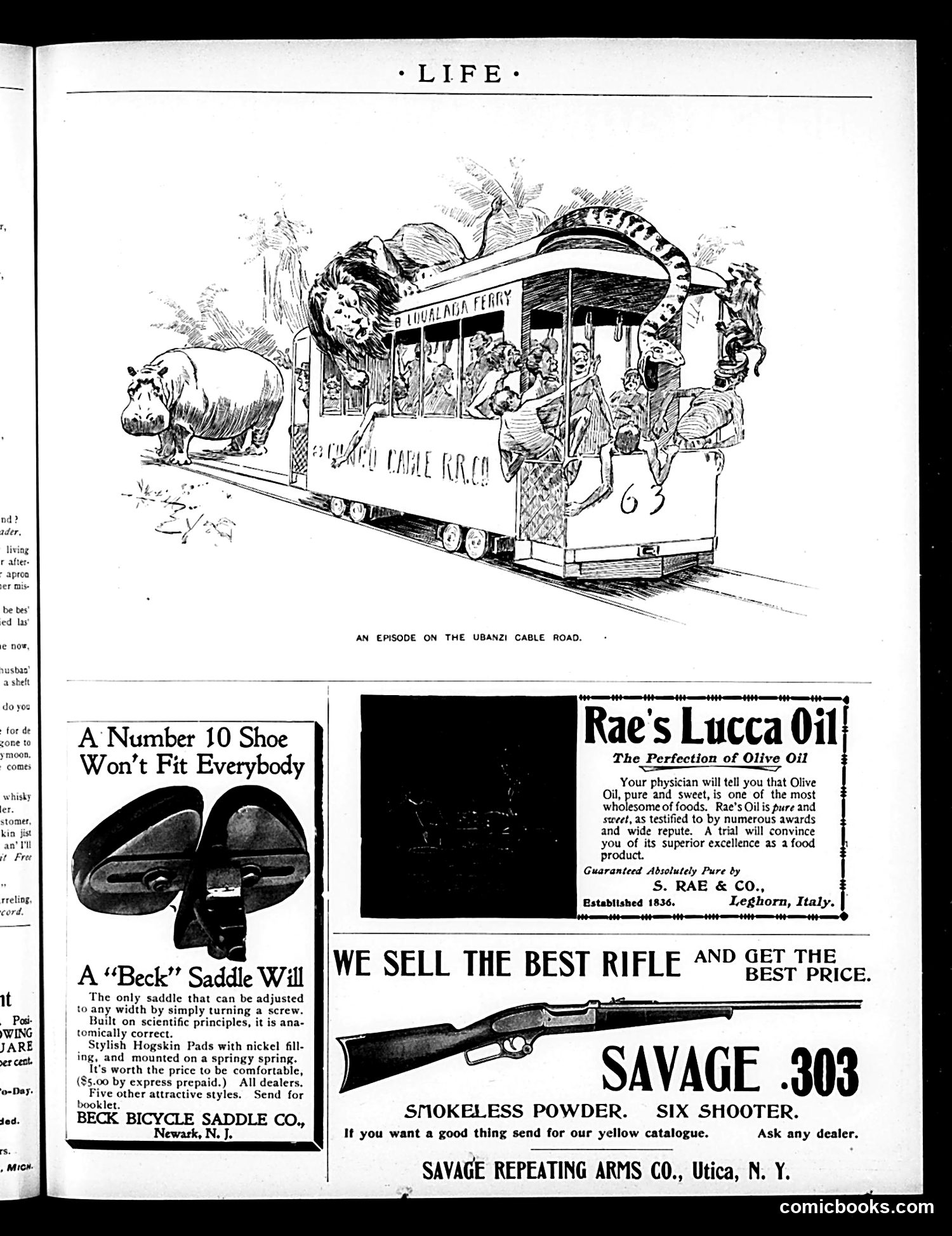 Life — September 17, 1896 — page 17 of 18