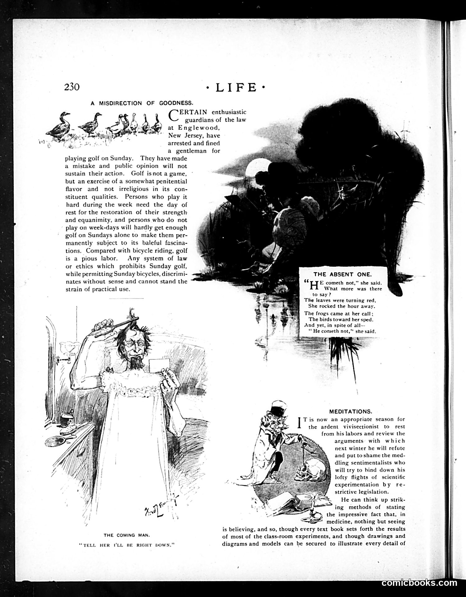 Life — September 24, 1896 — page 8 of 20