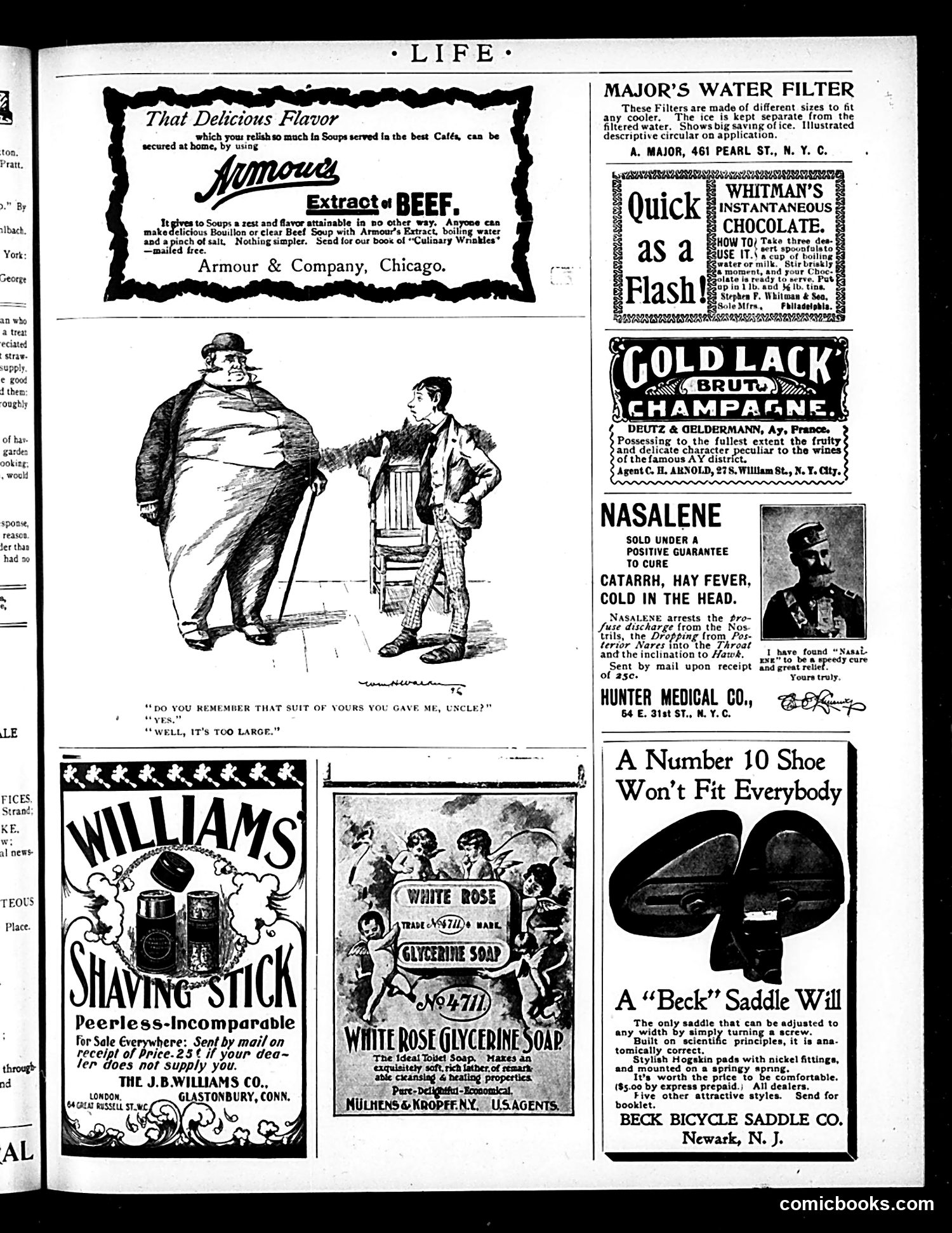 Life — October 15, 1896 — page 15 of 18